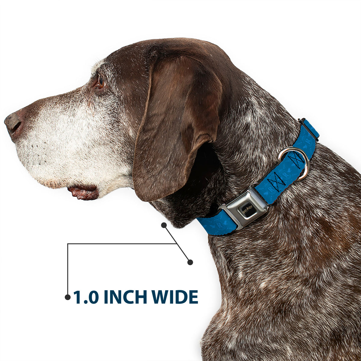 HARRY POTTER Title Logo Full Color Black Seatbelt Buckle Collar - Harry Potter Ravenclaw House Pride Banner Blues Dog Collars Seatbelt Buckle Harry Potter