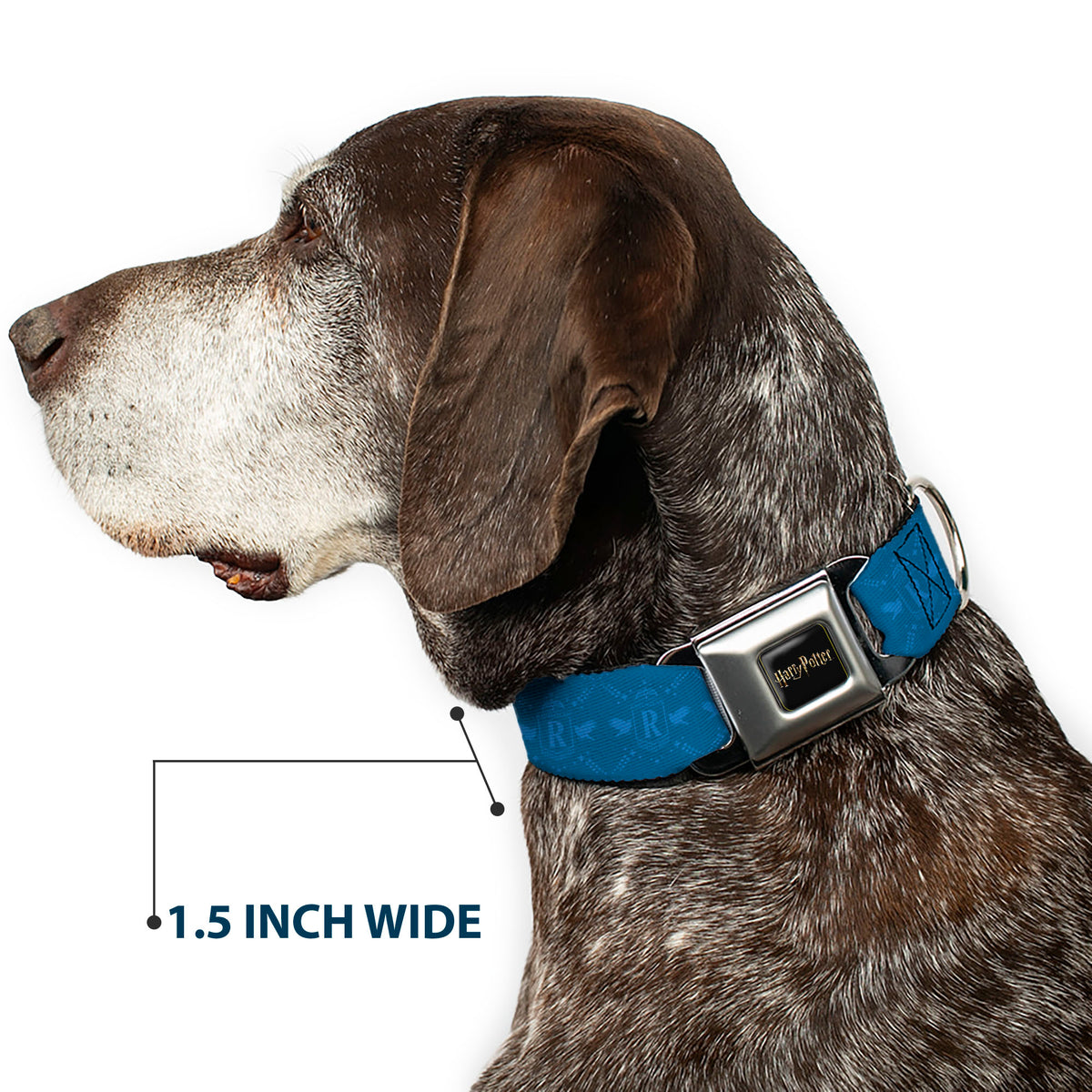 HARRY POTTER Title Logo Full Color Black Seatbelt Buckle Collar - Harry Potter Ravenclaw House Pride Banner Blues Dog Collars Seatbelt Buckle Harry Potter
