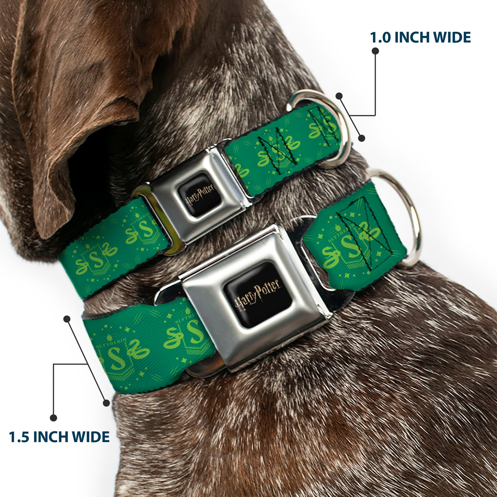 HARRY POTTER Title Logo Full Color Black Seatbelt Buckle Collar - Harry Potter Slytherin House Pride Banner Greens Seatbelt Buckle Collars Harry Potter