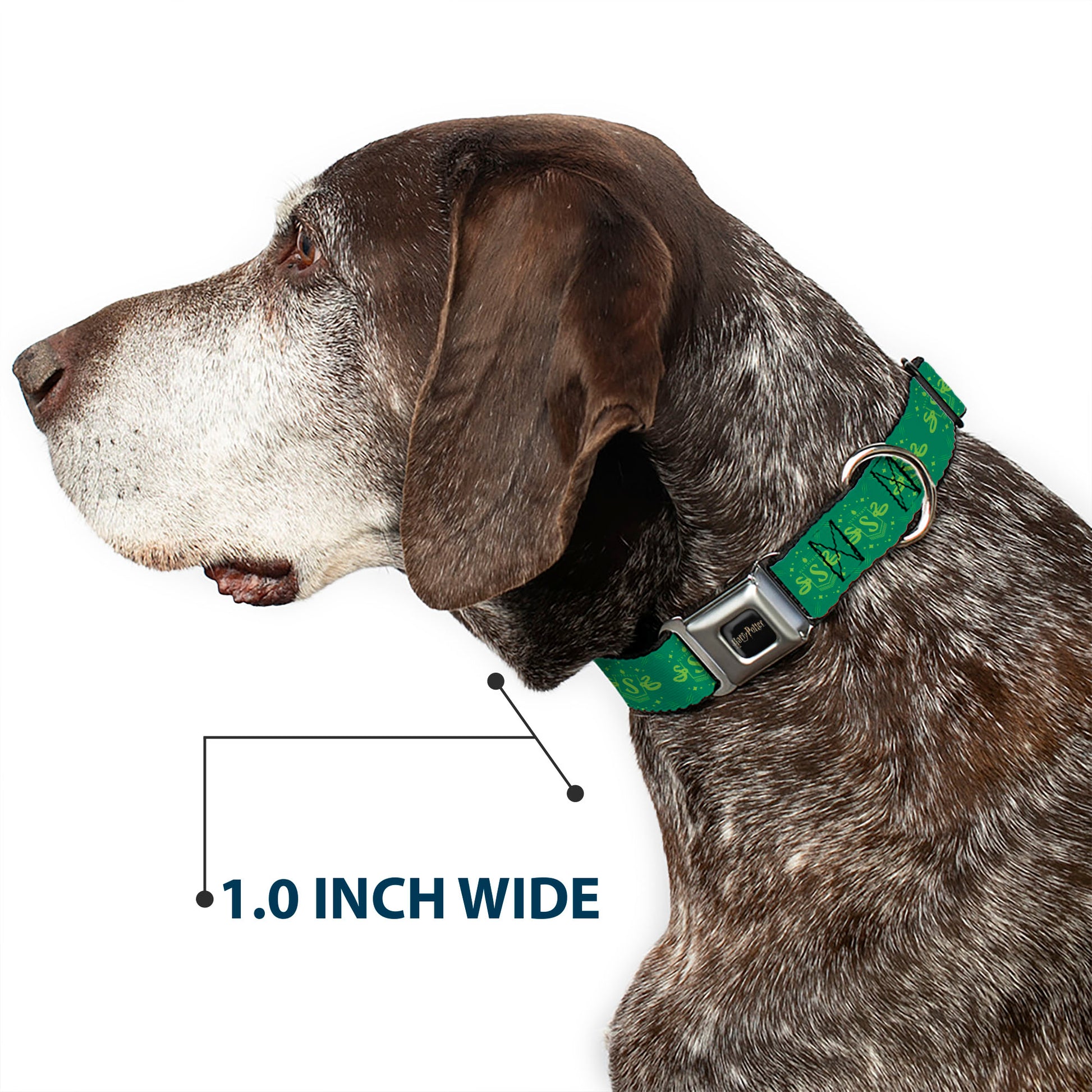 HARRY POTTER Title Logo Full Color Black Seatbelt Buckle Collar - Harry Potter Slytherin House Pride Banner Greens Seatbelt Buckle Collars Harry Potter
