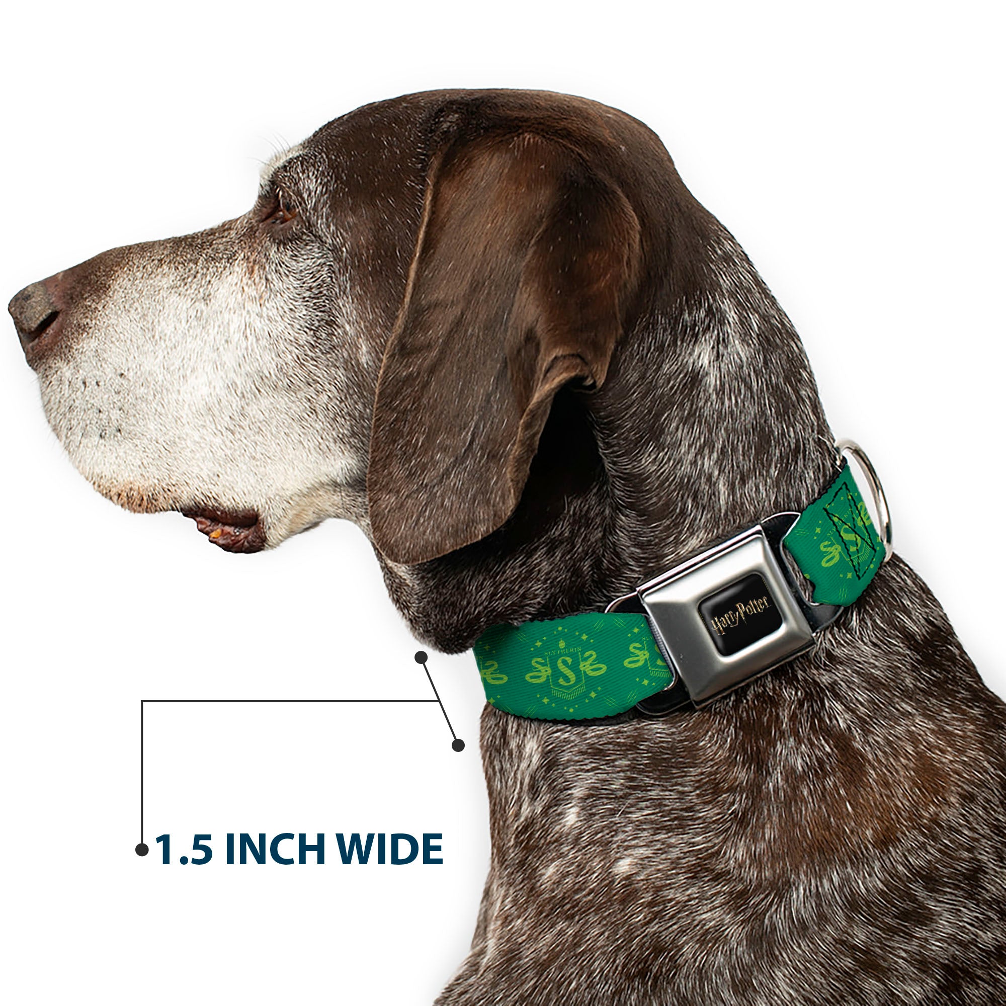 HARRY POTTER Title Logo Full Color Black Seatbelt Buckle Collar - Harry Potter Slytherin House Pride Banner Greens Seatbelt Buckle Collars Harry Potter