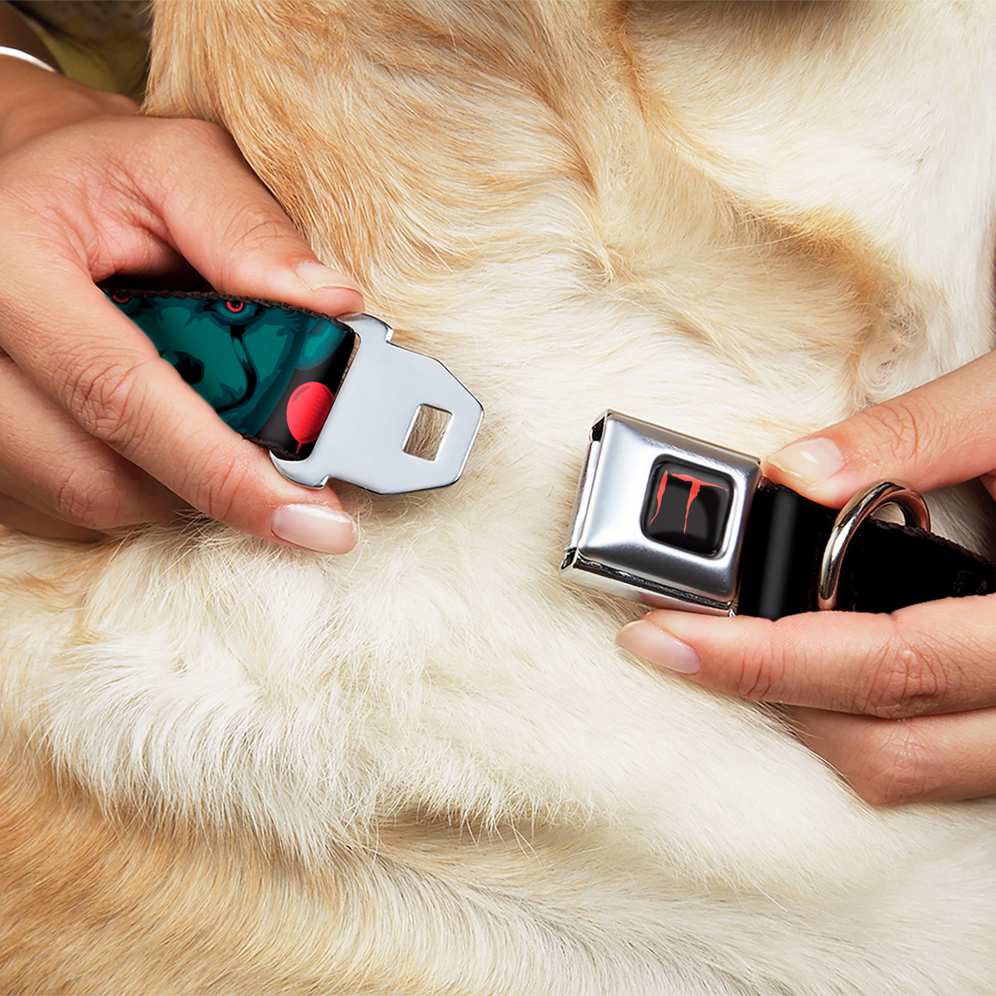 IT Title Logo Full Color Black/Red Seatbelt Buckle Collar - IT Pennywise Face and Balloons TIME TO FLOAT Black/Blues/Reds Seatbelt Buckle Collars IT