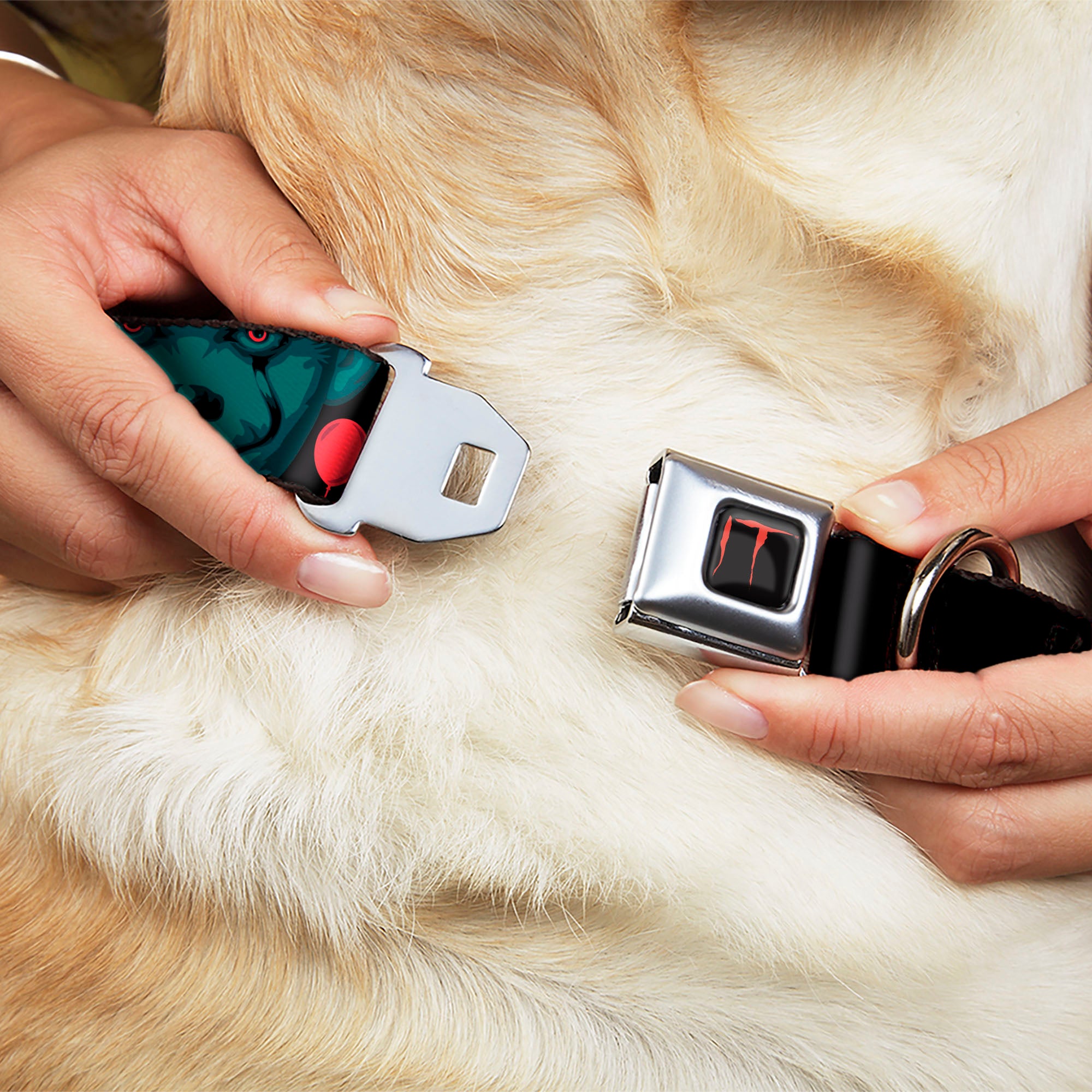 IT Title Logo Full Color Black/Red Seatbelt Buckle Collar - IT Pennywise Face and Balloons TIME TO FLOAT Black/Blues/Reds Seatbelt Buckle Collars IT