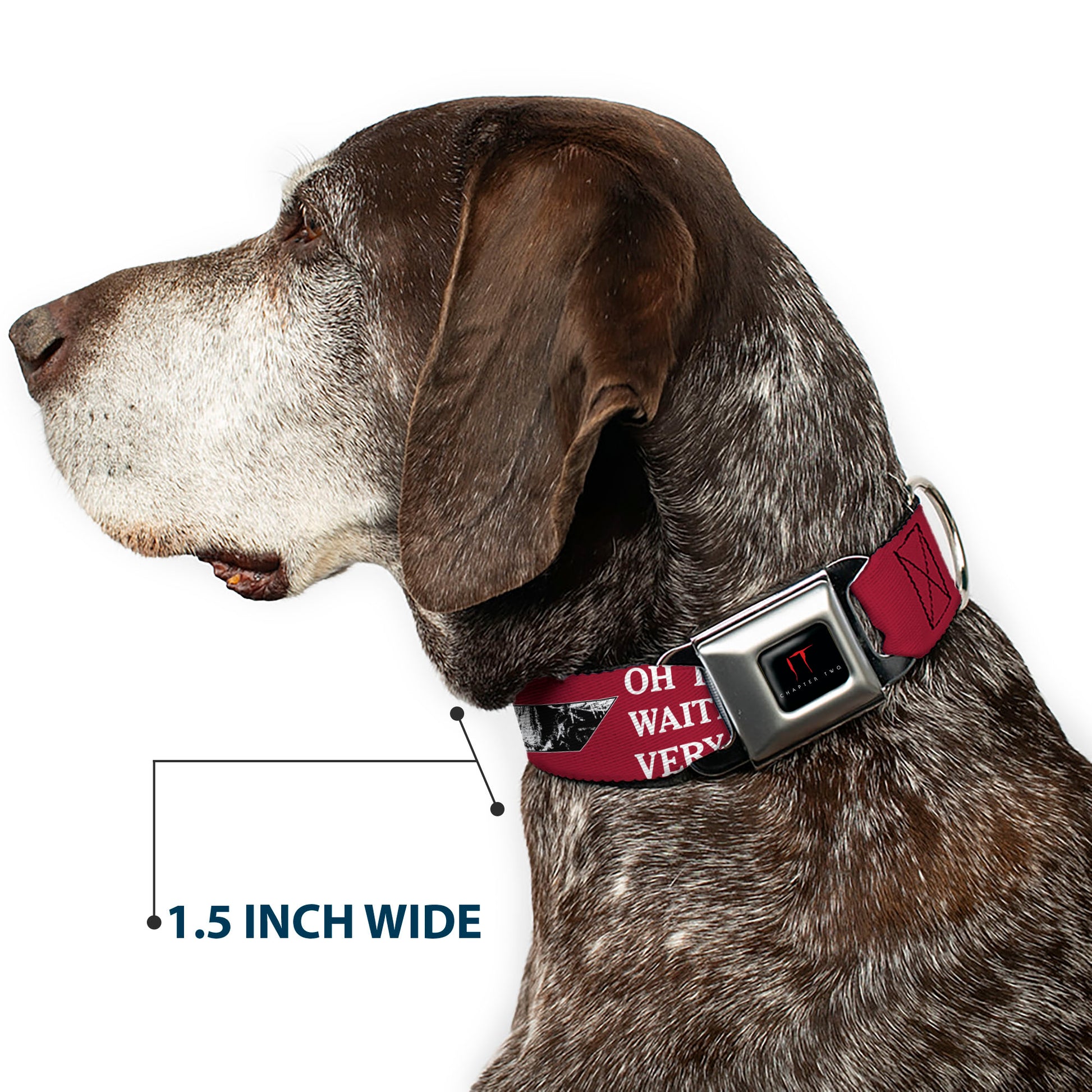 IT Title Logo Full Color Black/Red Seatbelt Buckle Collar - IT Pennywise Poses and Quotes Collage Red/White/Grays Seatbelt Buckle Collars IT