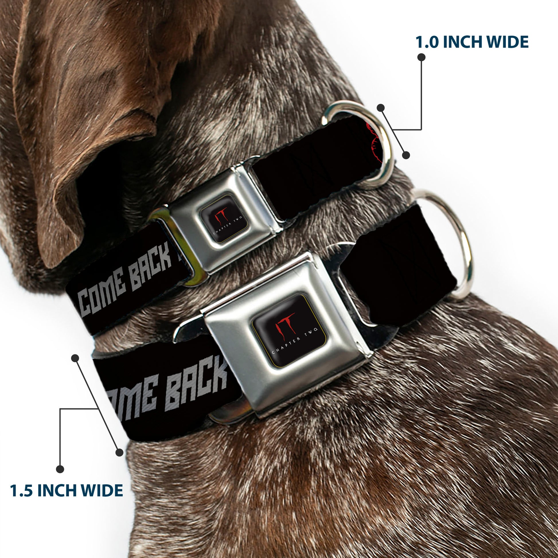 IT Title Logo Full Color Black/Red Seatbelt Buckle Collar - IT Pennywise Face COME BACK AND PLAY Black/Red/Gray Seatbelt Buckle Collars IT