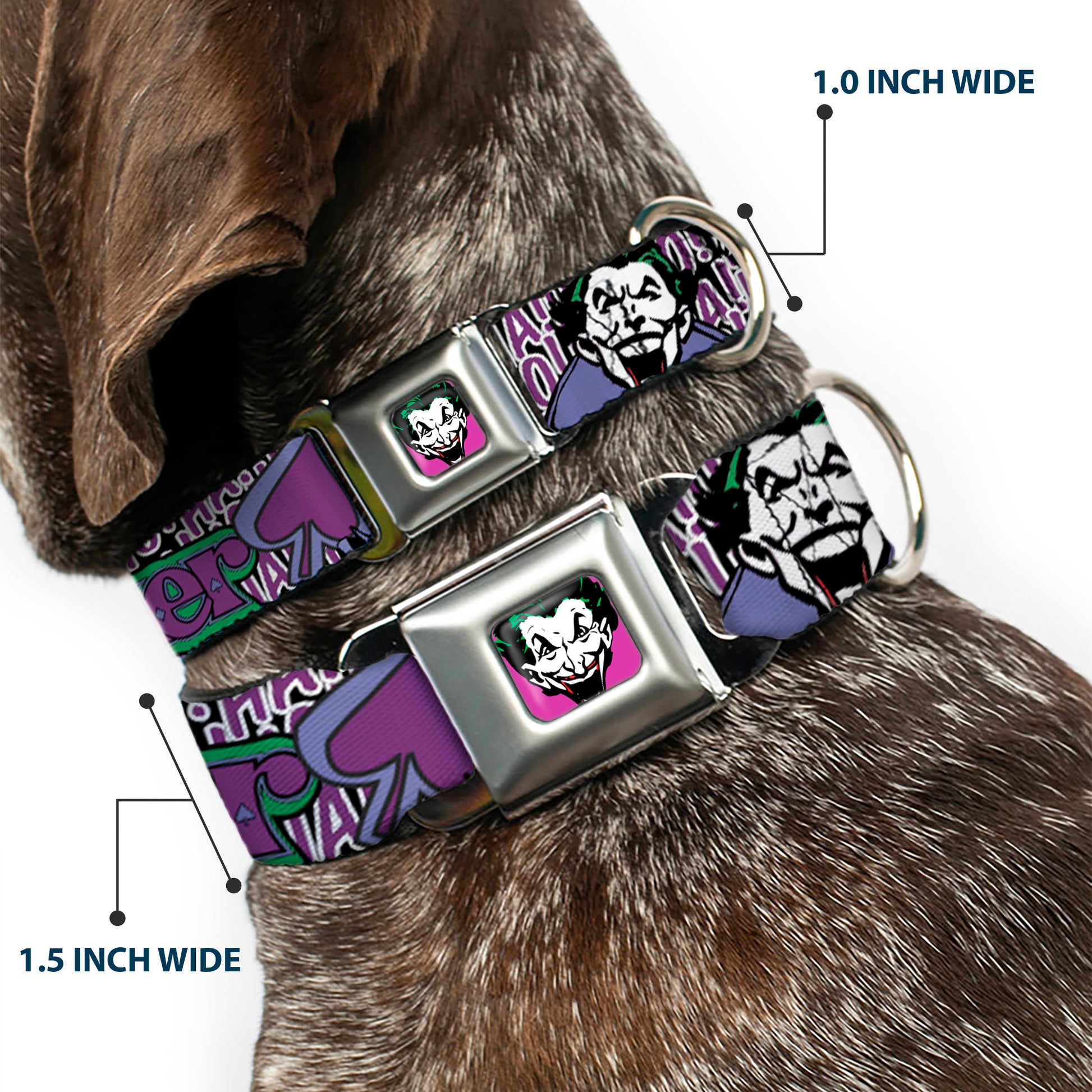Joker Face Full Color Seatbelt Buckle Collar - Joker Face/Logo/Spades Black/White/Purple Seatbelt Buckle Collars DC Comics