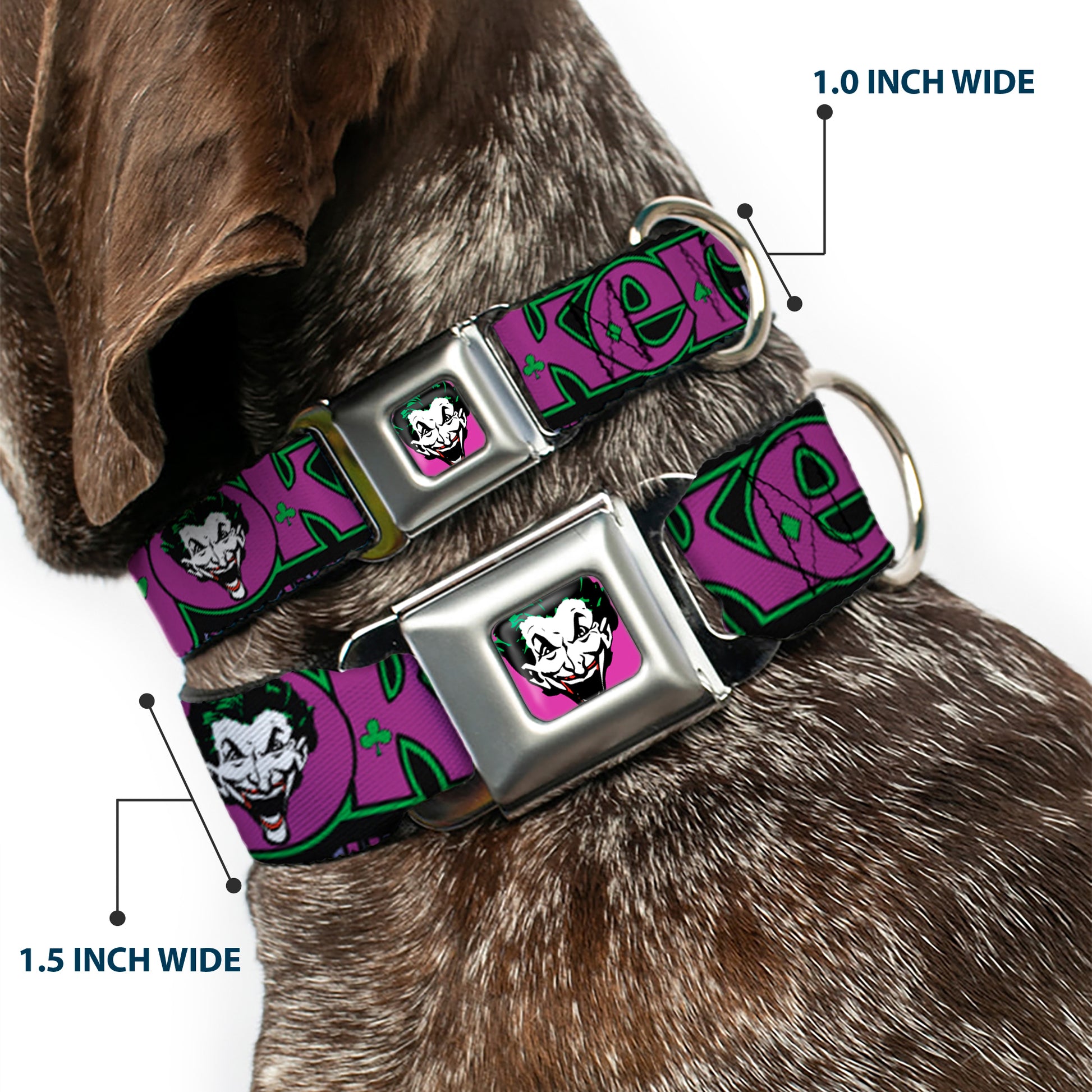 Dog Collar JKA-Joker Face - Joker Face/Logo/Spades Black/Green/Purple Seatbelt Buckle Collars DC Comics