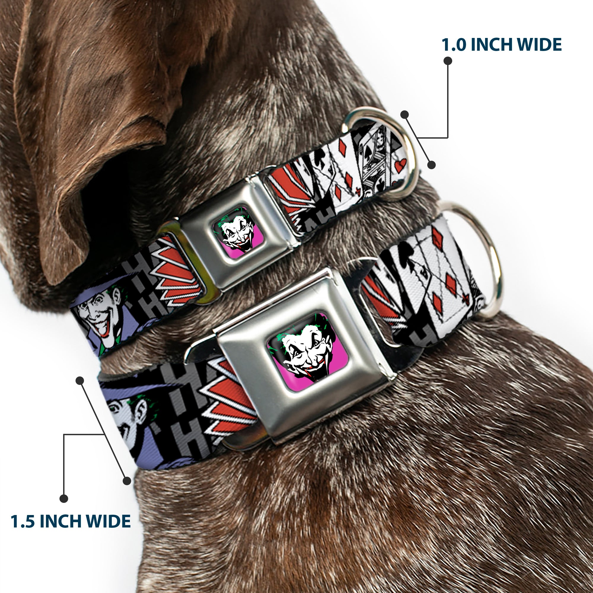 Joker Face Full Color Seatbelt Buckle Collar - The Joker Pose/Cards/HAHAHAHA Black/Gray Seatbelt Buckle Collars DC Comics