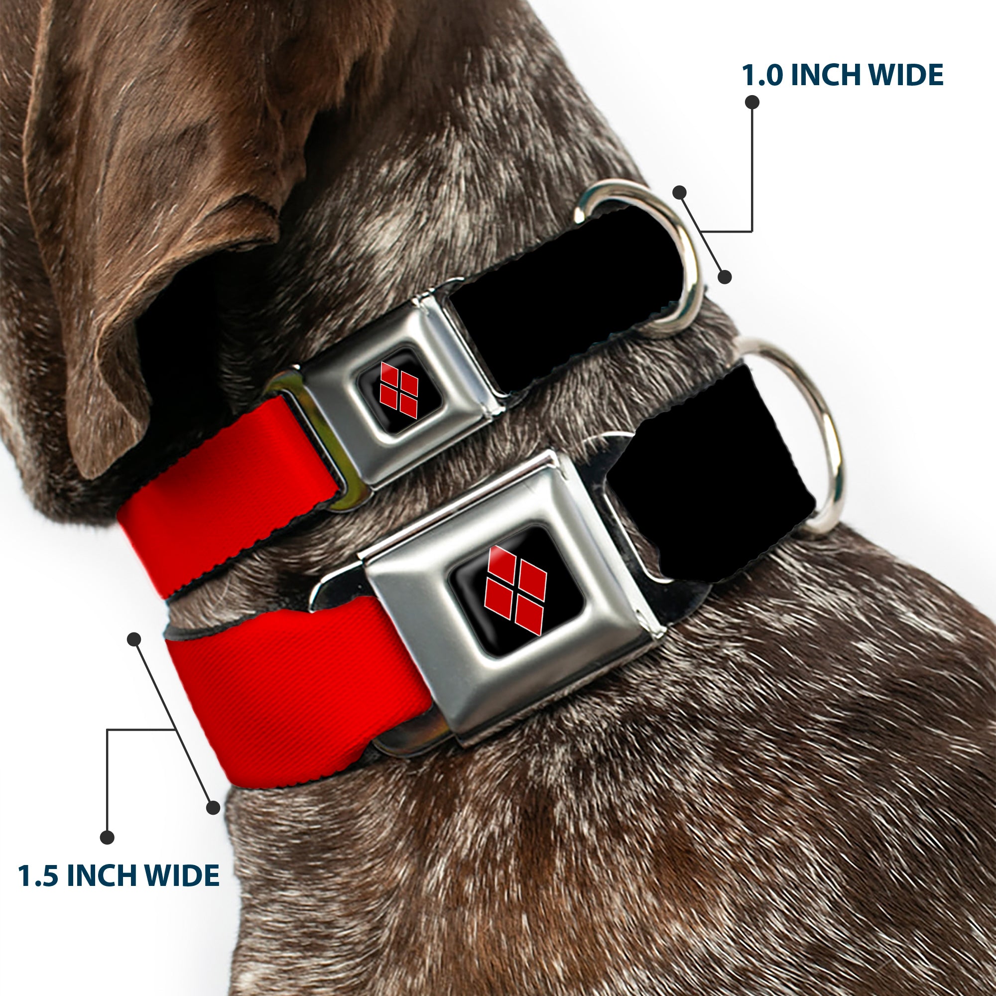 Harley Quinn Diamond Full Color Black Red Seatbelt Buckle Collar - HARLEY QUINN/Diamonds Black/Red/White Seatbelt Buckle Collars DC Comics