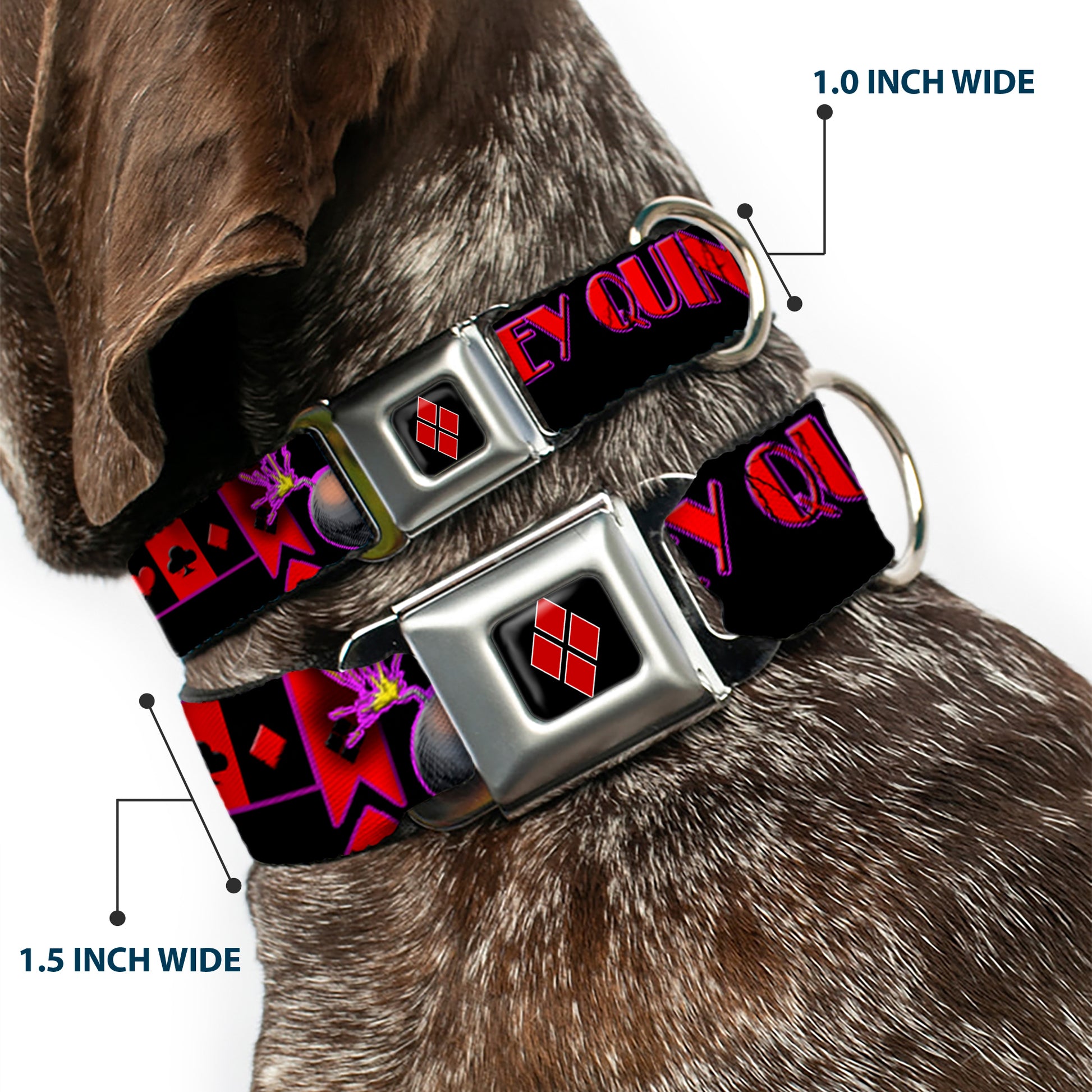Harley Quinn Diamond Full Color Black Red Seatbelt Buckle Collar - HARLEY QUINN Bomb Poses/Suits Black/Purple/Red Seatbelt Buckle Collars DC Comics