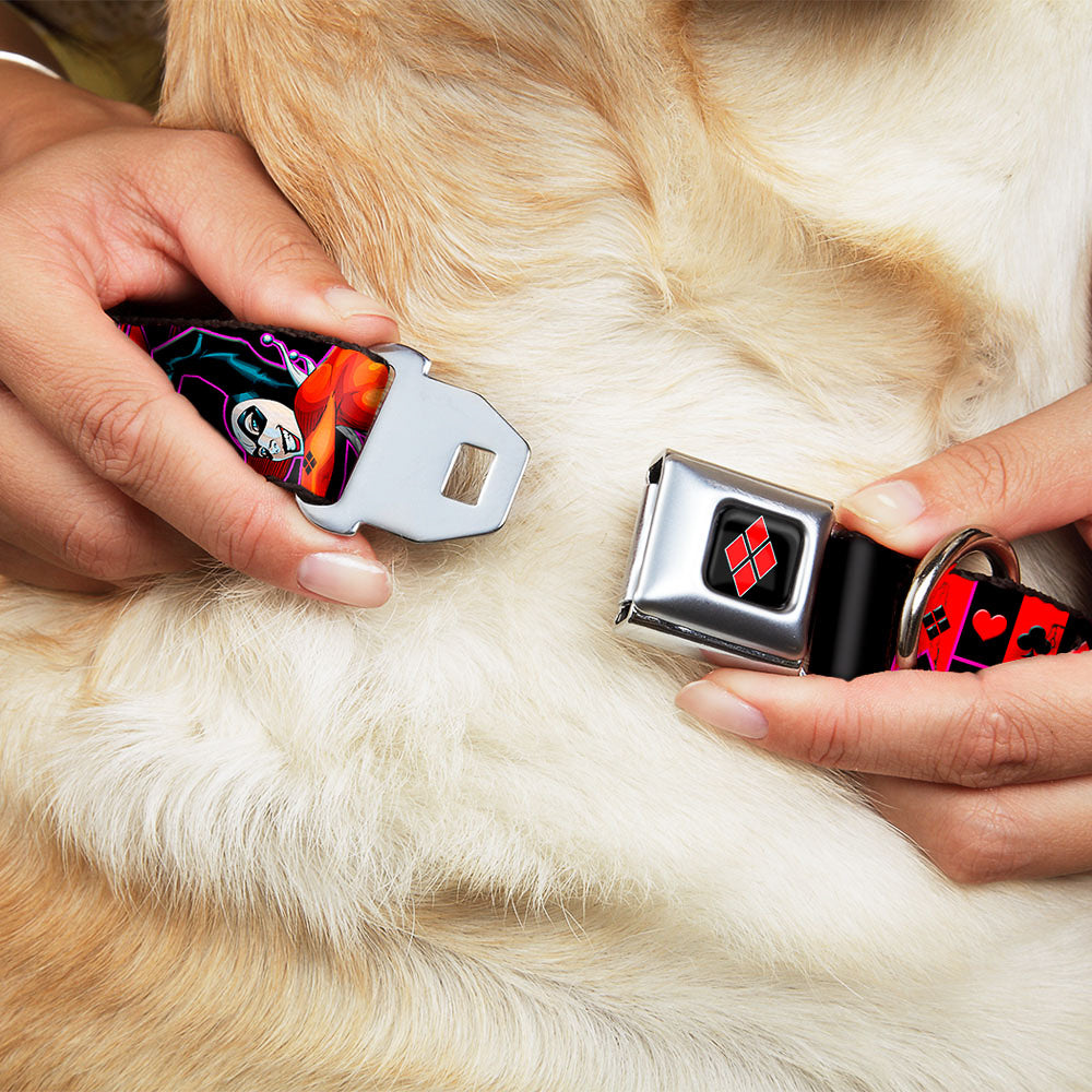 Harley Quinn Diamond Full Color Black Red Seatbelt Buckle Collar - HARLEY QUINN Bomb Poses/Suits Black/Purple/Red Seatbelt Buckle Collars DC Comics