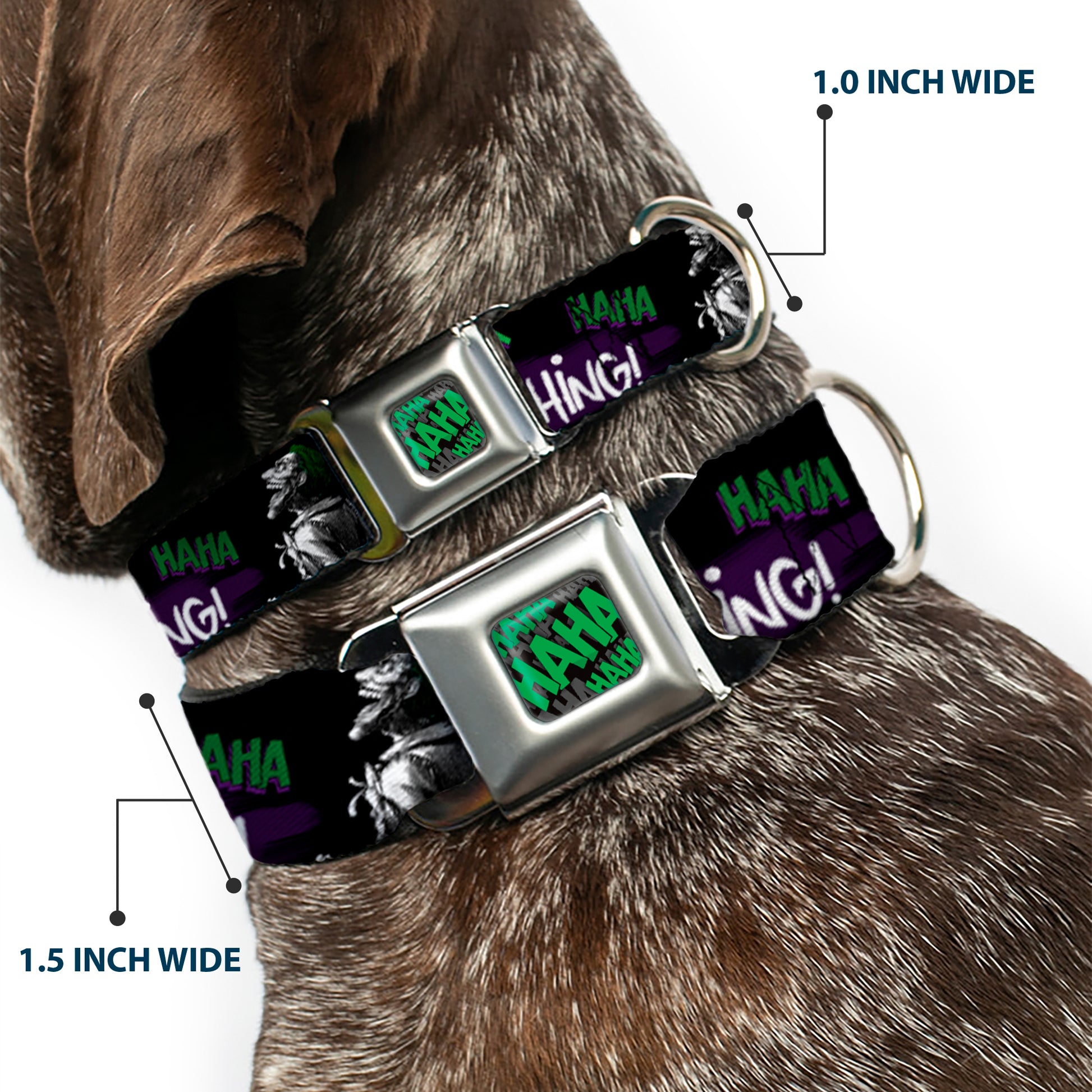 HAHA Stacked Black/Gray/Green Seatbelt Buckle Collar - Joker DIE LAUGHING! HAHA Black/Purple/Green Seatbelt Buckle Collars DC Comics