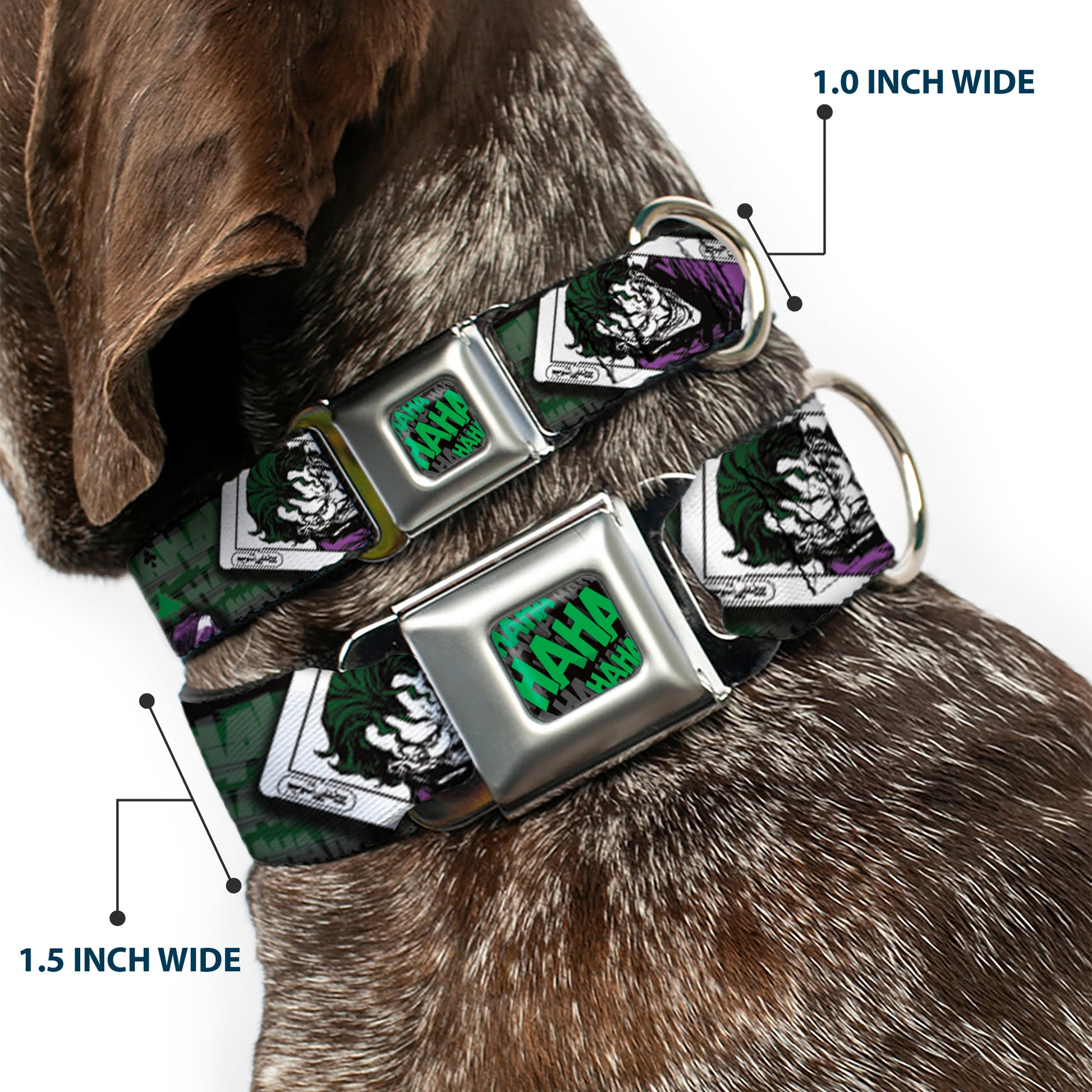 HAHA Stacked Full Color Black/Gray/Green Seatbelt Buckle Collar - The Joker 4-Poses/Joker Card HAHA/Smile/BANG! Grays/Greens/Purples Seatbelt Buckle Collars DC Comics