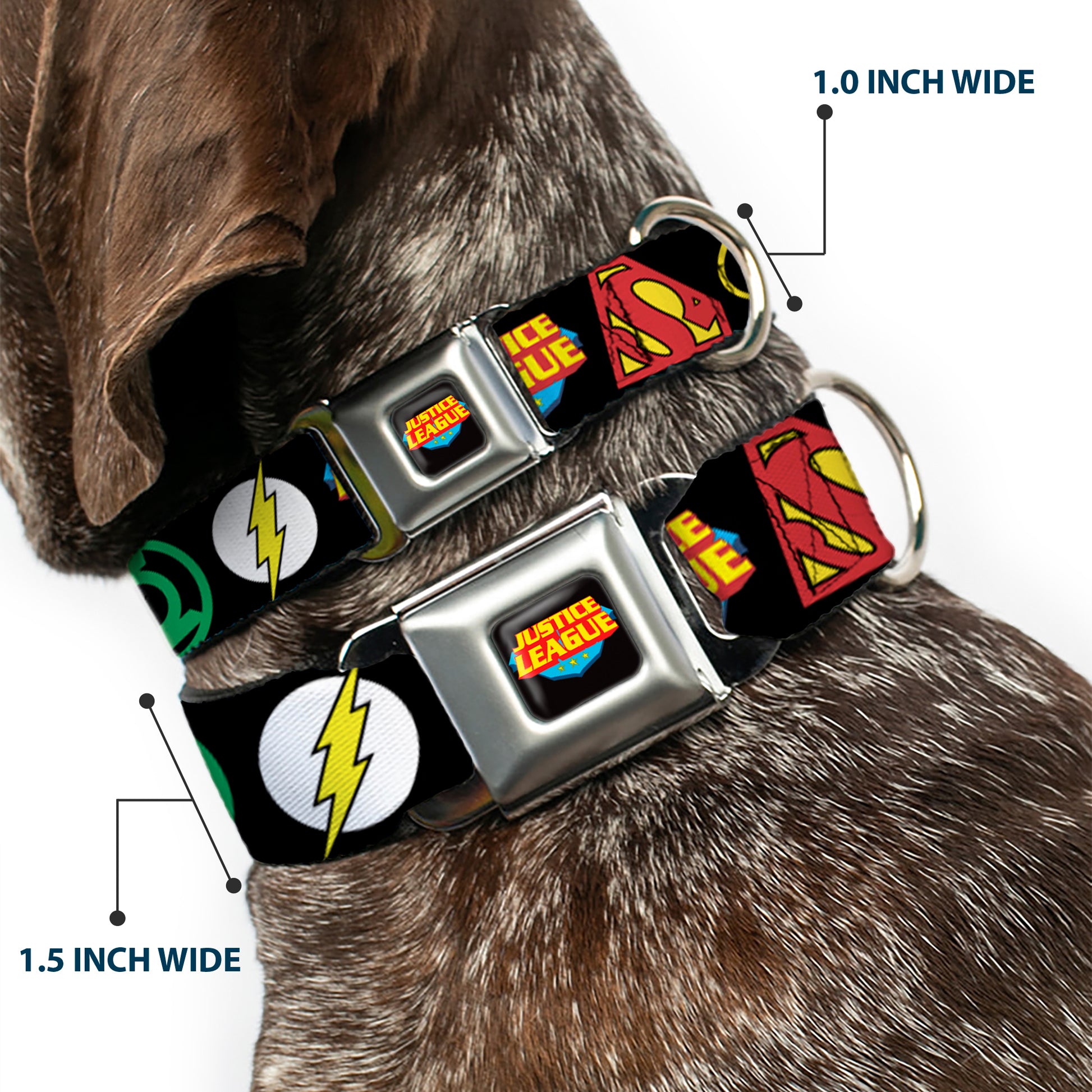 Justice League Shield Full Color Black Blue Red Yellow Seatbelt Buckle Collar - Justice League Superhero Logos CLOSE-UP Black Seatbelt Buckle Collars DC Comics