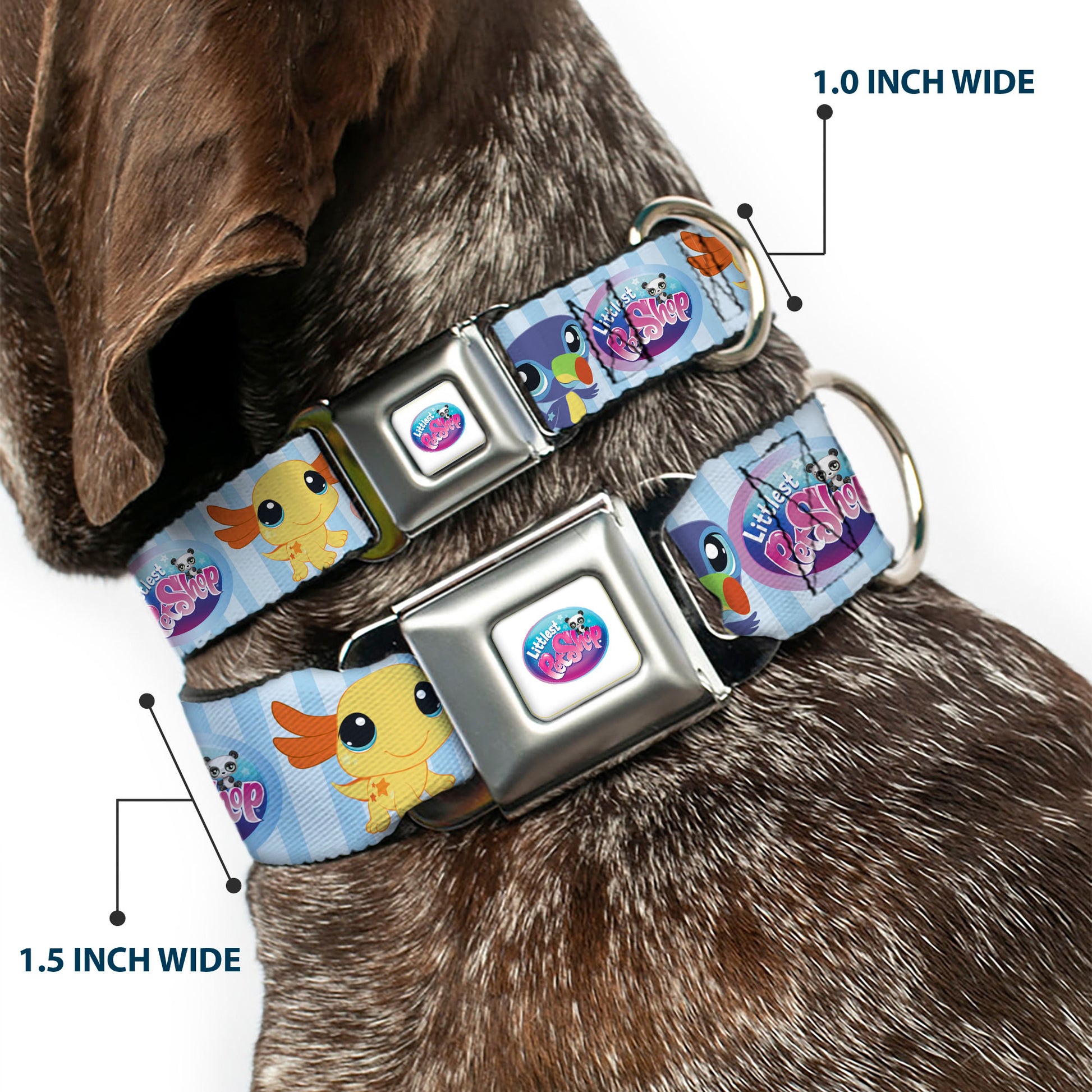 LITTLEST PET SHOP Logo Full Color Gray/Multi Color Seatbelt Buckle Collar - LITTLEST PET SHOP Animal Poses Stripe Blues Seatbelt Buckle Collars Littlest Pet Shop
