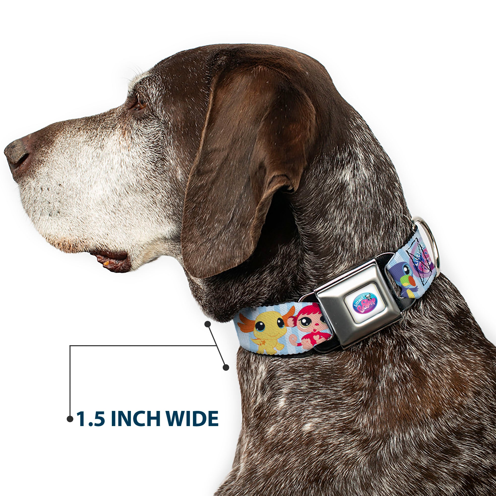 LITTLEST PET SHOP Logo Full Color Gray/Multi Color Seatbelt Buckle Collar - LITTLEST PET SHOP Animal Poses Stripe Blues Seatbelt Buckle Collars Littlest Pet Shop