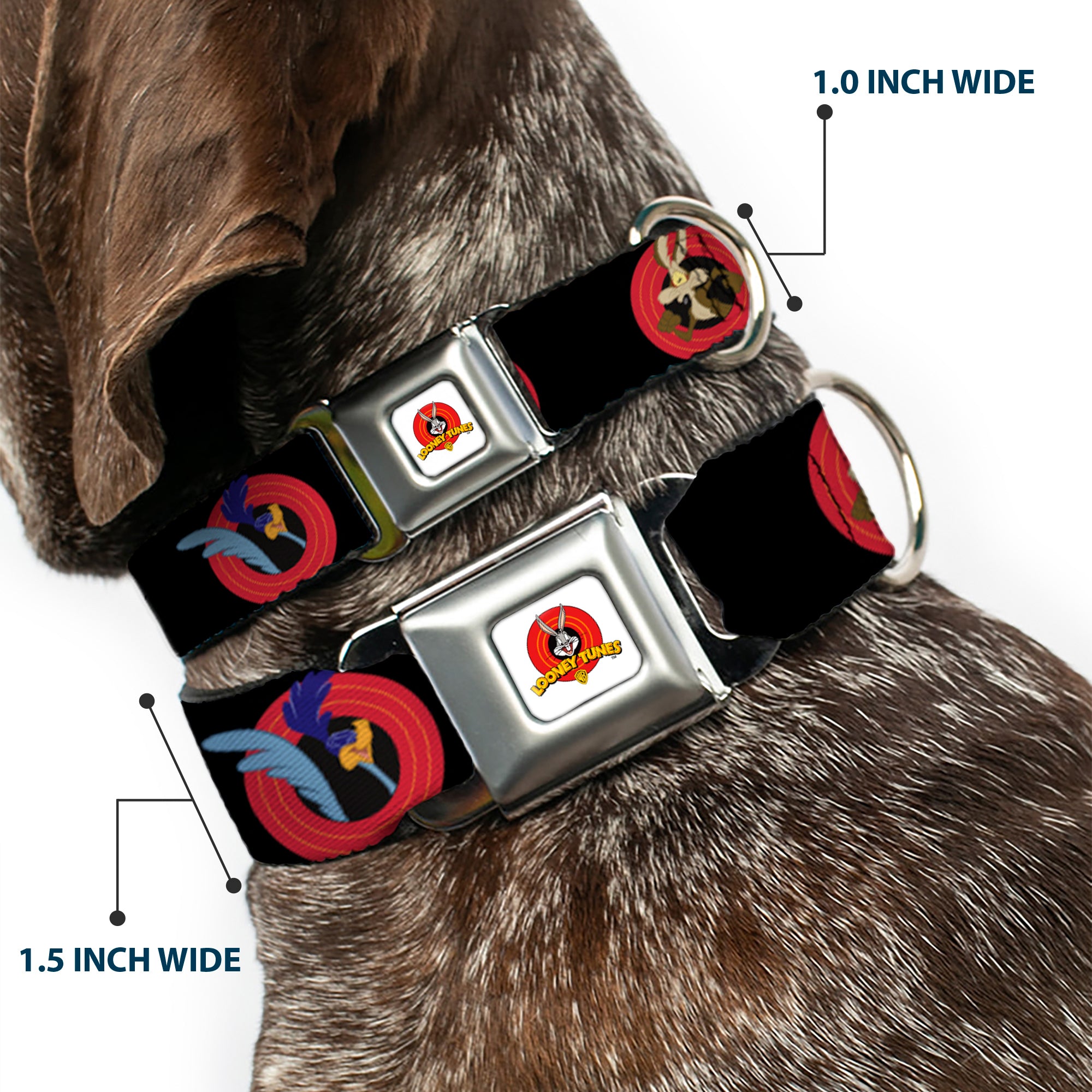 Looney Tunes Logo Full Color White Seatbelt Buckle Collar - Looney Tunes Characters Bullseye Pose Black Seatbelt Buckle Collars Looney Tunes