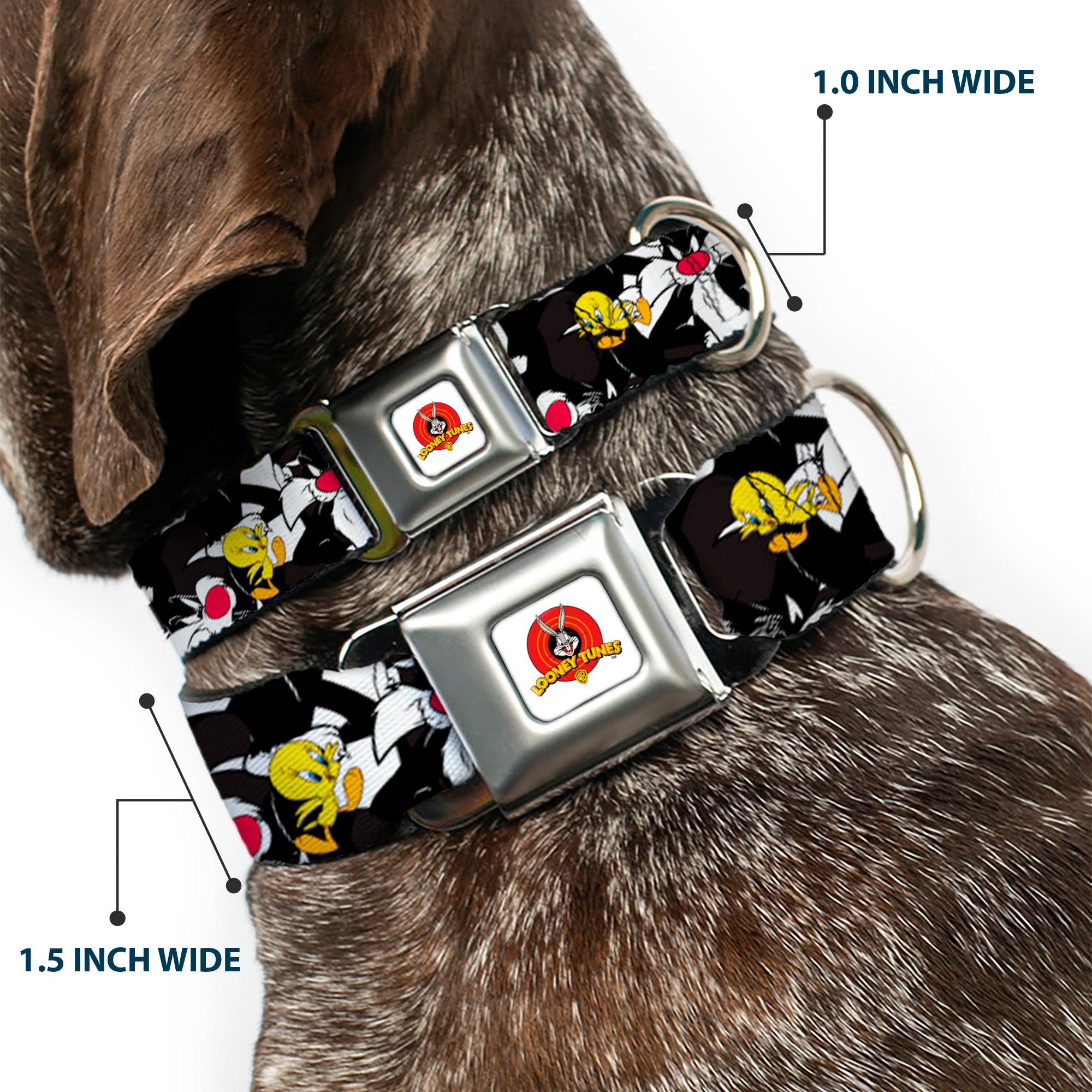 Looney Tunes Logo White Seatbelt Buckle Collar - Sylvester and Tweety Poses Scattered Charcoal Seatbelt Buckle Collars Looney Tunes