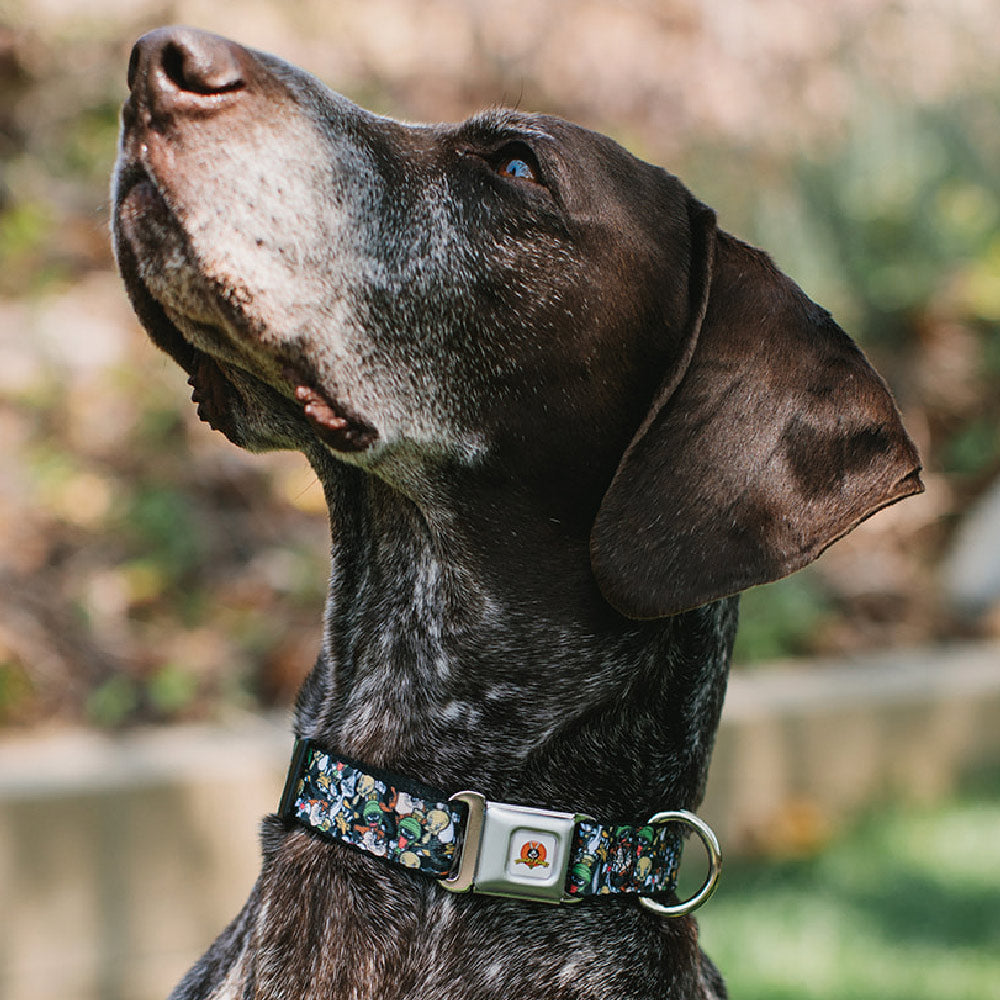 Looney Tunes Logo White Seatbelt Buckle Collar - Looney Tunes 6-Character Stacked Collage4 Seatbelt Buckle Collars Looney Tunes