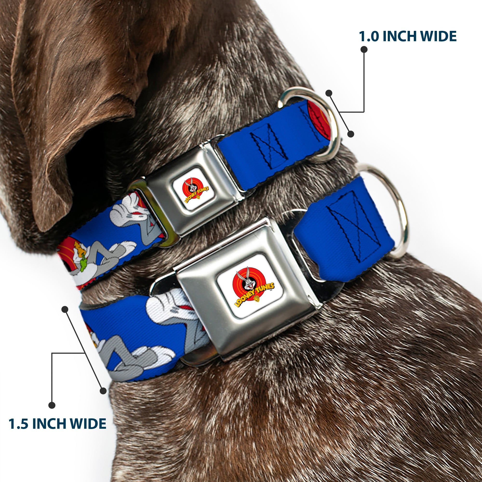 Looney Tunes Logo Full Color White Seatbelt Buckle Collar - BUGS BUNNY w/Bugs Poses Blue Seatbelt Buckle Collars Looney Tunes