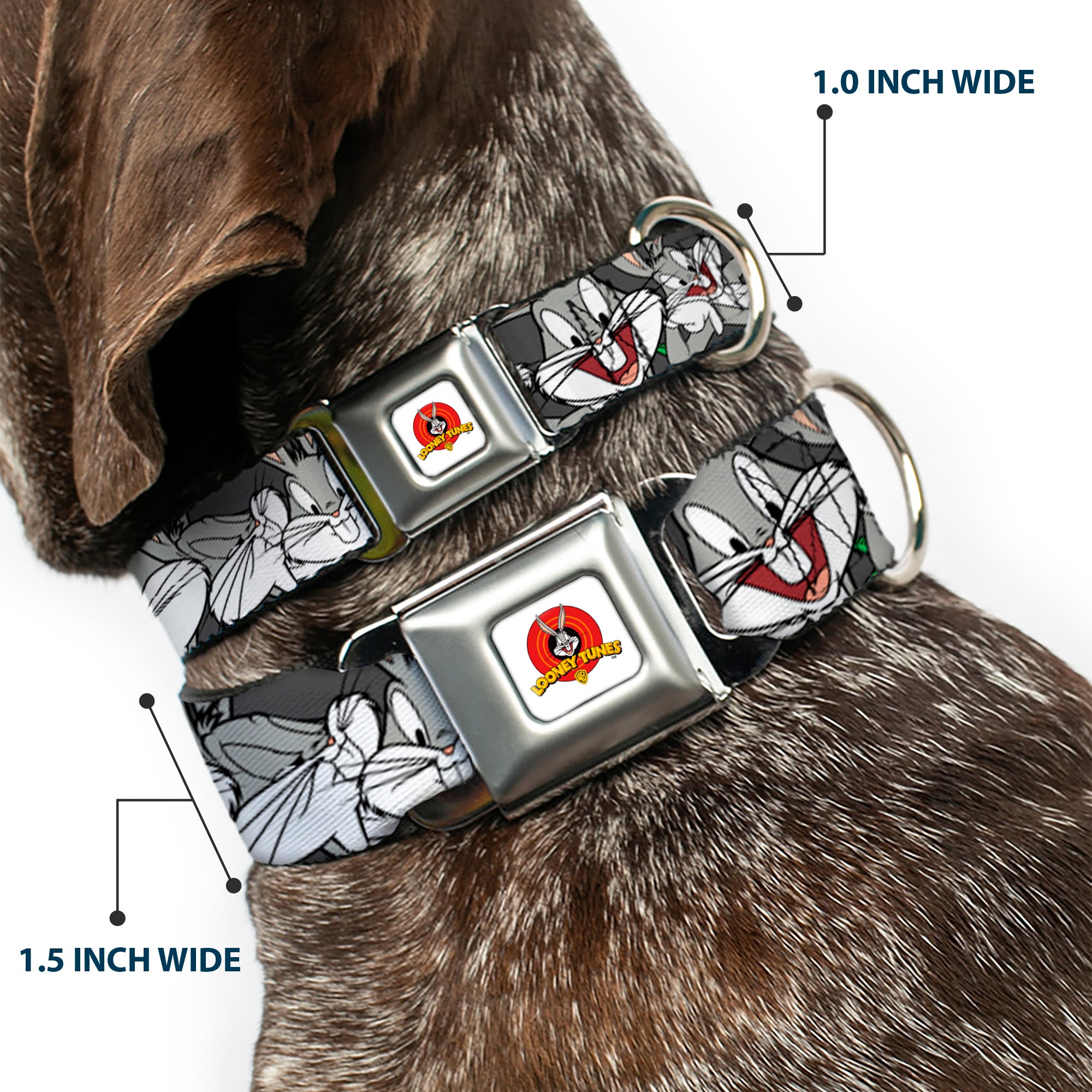 Looney Tunes Logo Full Color White Seatbelt Buckle Collar - Bugs Bunny CLOSE-UP Poses Charcoal Seatbelt Buckle Collars Looney Tunes
