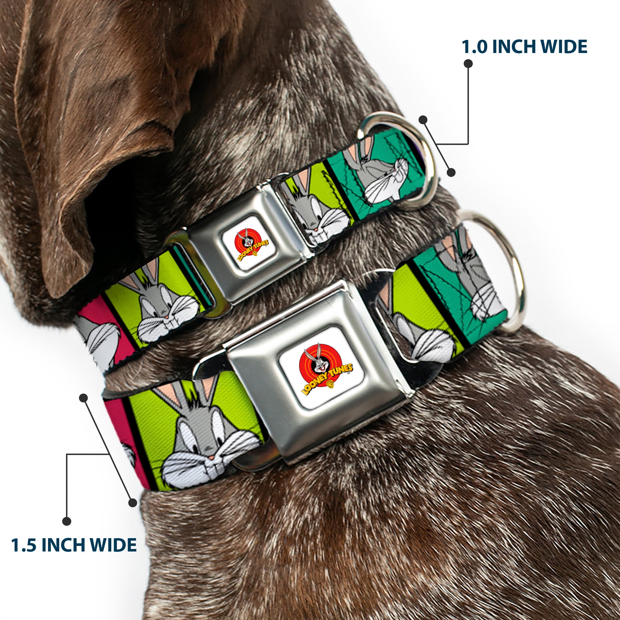 Looney Tunes Logo Full Color White Seatbelt Buckle Collar - Bugs Bunny Expression Blocks Multi Color Seatbelt Buckle Collars Looney Tunes