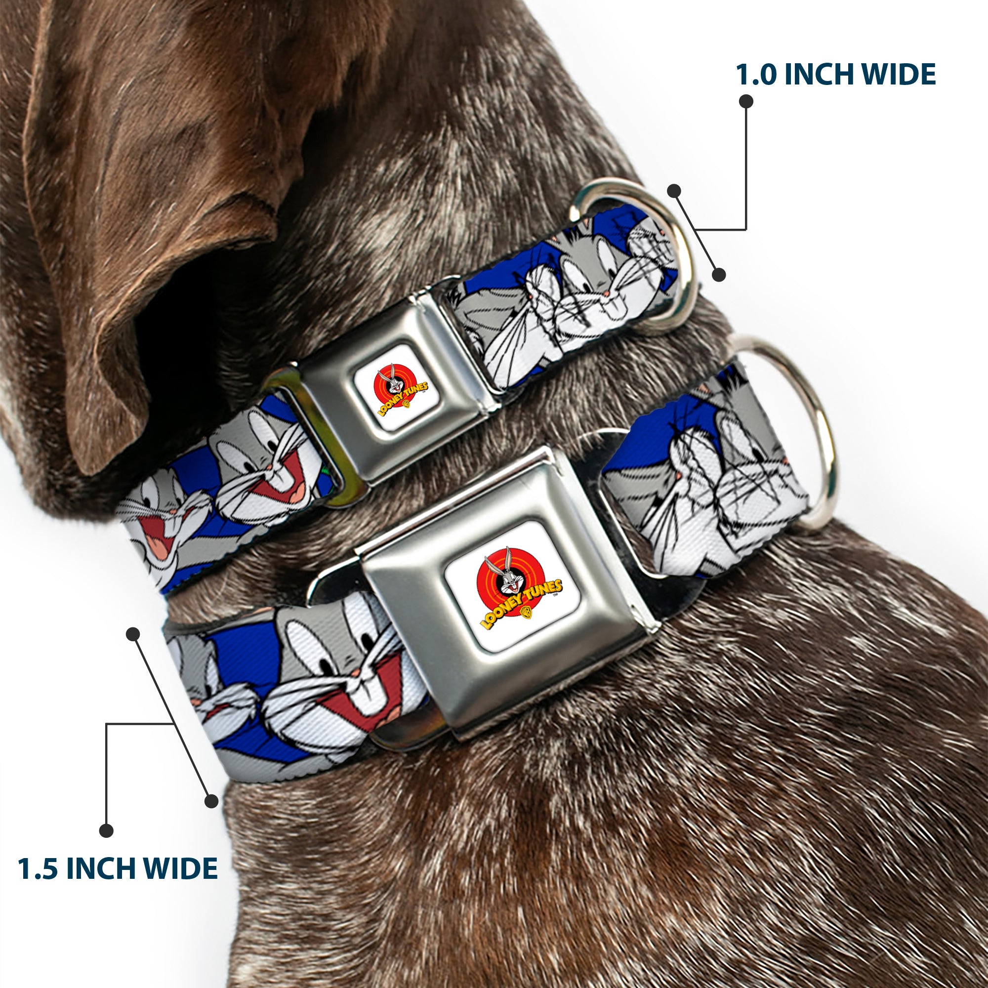Looney Tunes Logo Full Color White Seatbelt Buckle Collar - Bugs Bunny CLOSE-UP Poses Blue Seatbelt Buckle Collars Looney Tunes