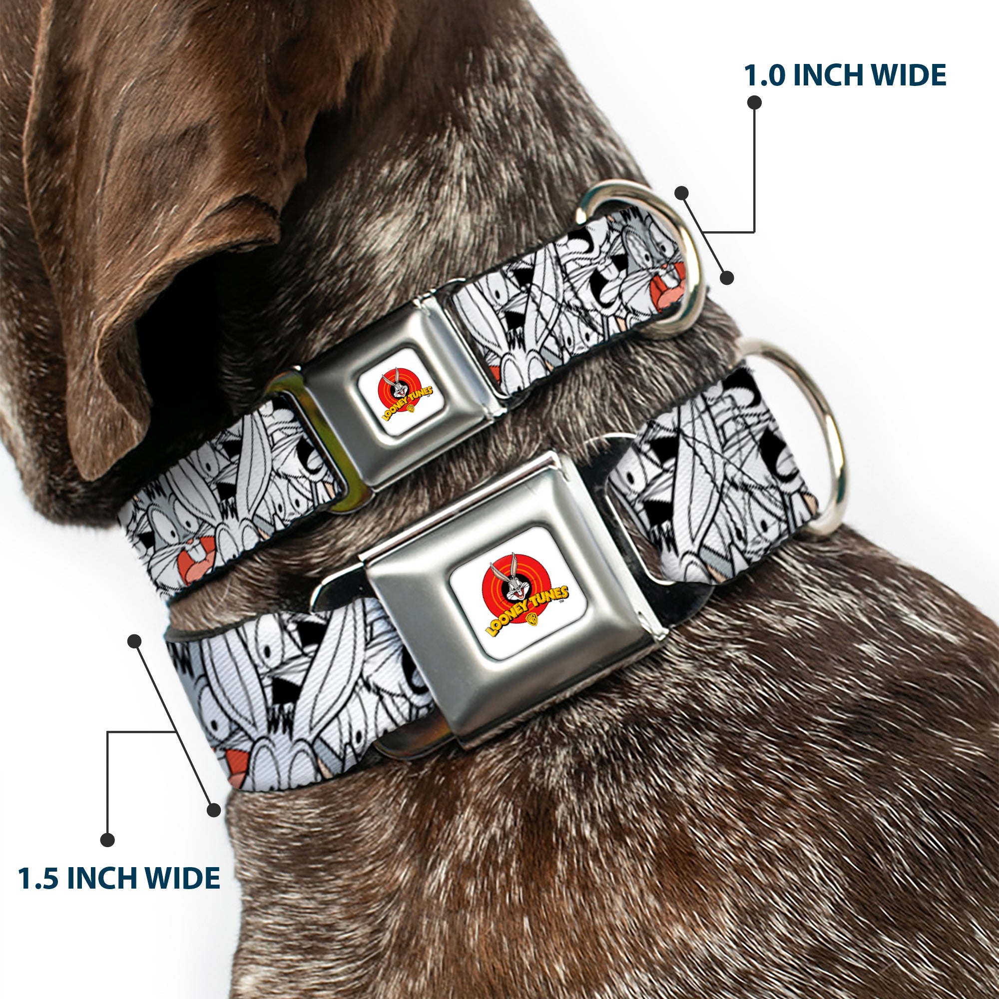 Looney Tunes Logo White Seatbelt Buckle Collar - Bugs Bunny Expressions Stacked White/Black/Gray Seatbelt Buckle Collars Looney Tunes