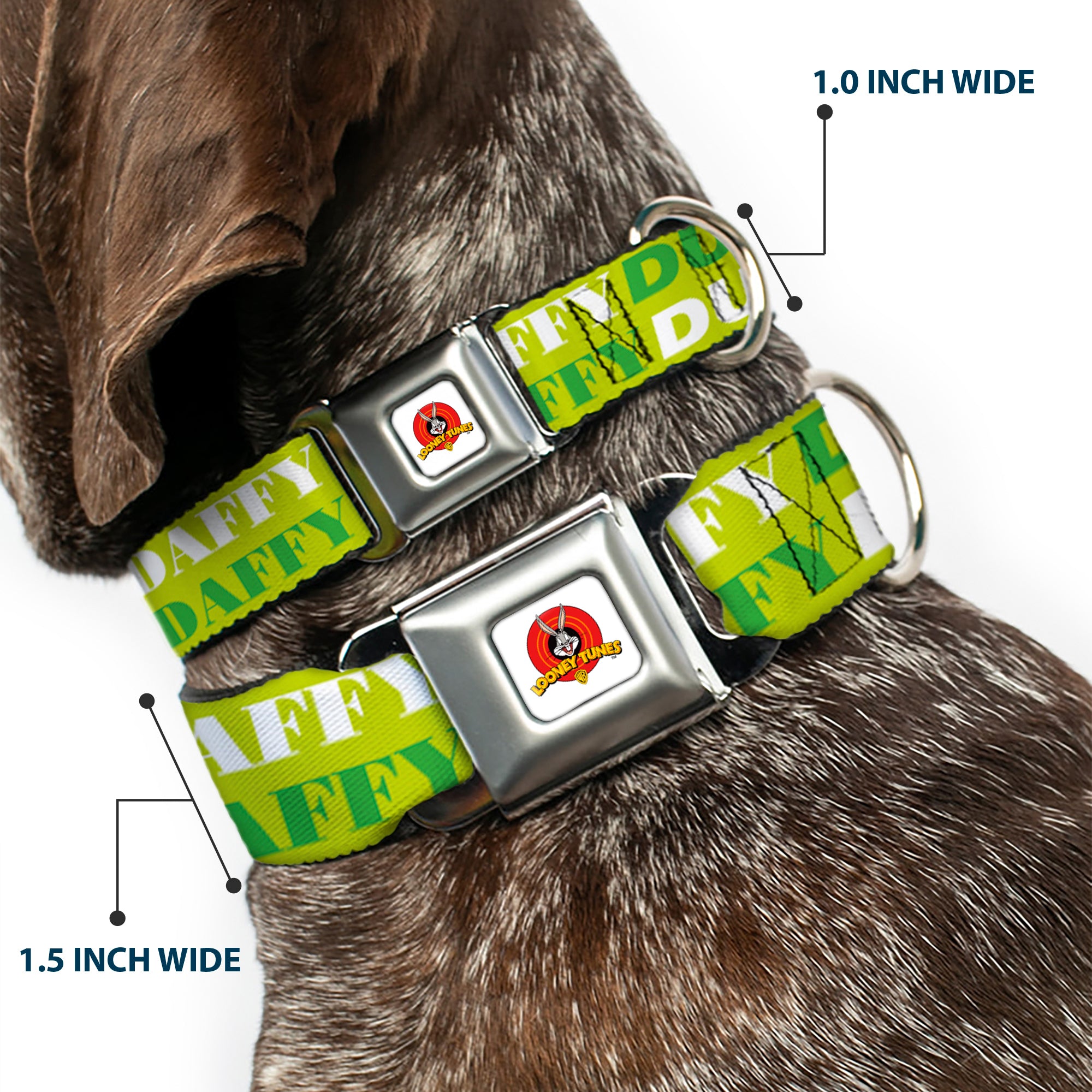 Looney Tunes Logo Full Color White Seatbelt Buckle Collar - DAFFY DUCK w/Face CLOSE-UP Greens Seatbelt Buckle Collars Looney Tunes