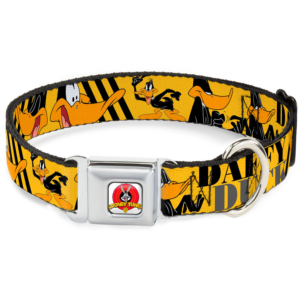 Looney Tunes Logo Full Color White Seatbelt Buckle Collar - DAFFY DUCK w/Poses Yellow/Black Seatbelt Buckle Collars Looney Tunes