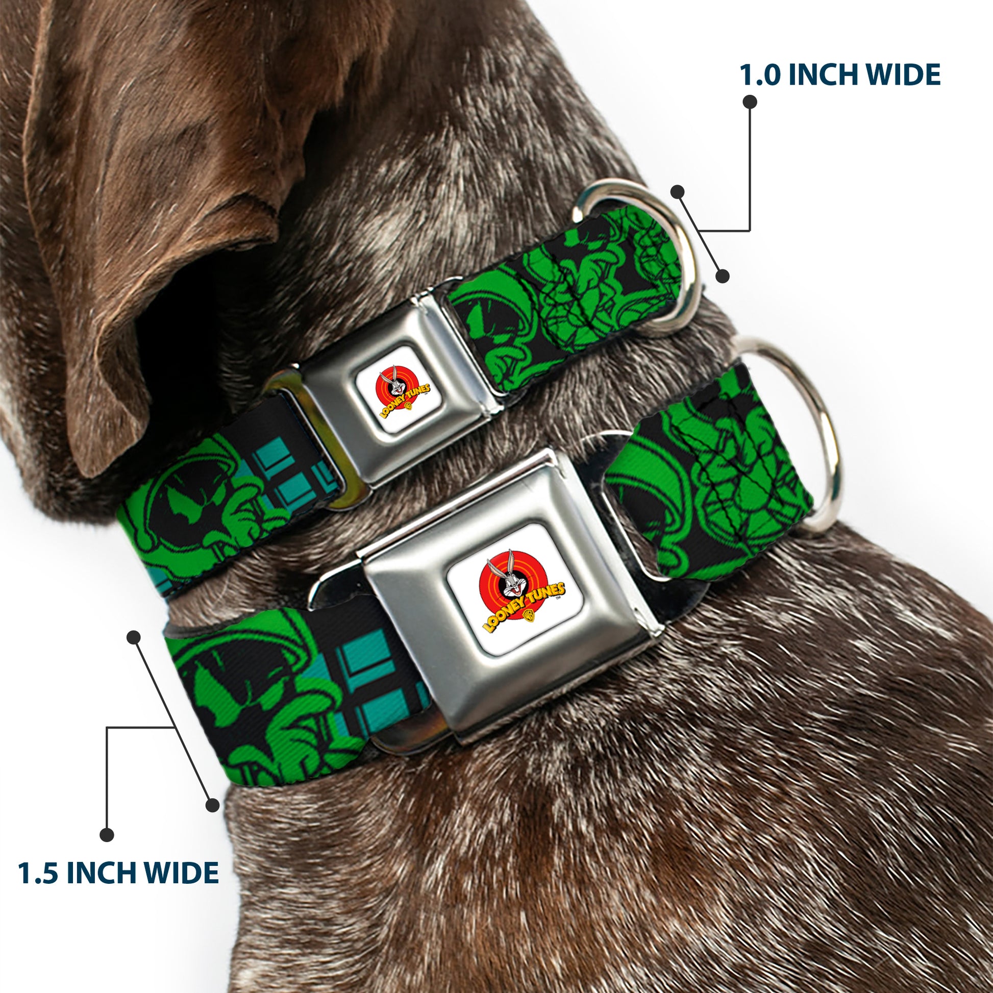 Looney Tunes Logo Full Color White Seatbelt Buckle Collar - MARVIN THE MARTIAN w/Poses Black/Turquoise Seatbelt Buckle Collars Looney Tunes