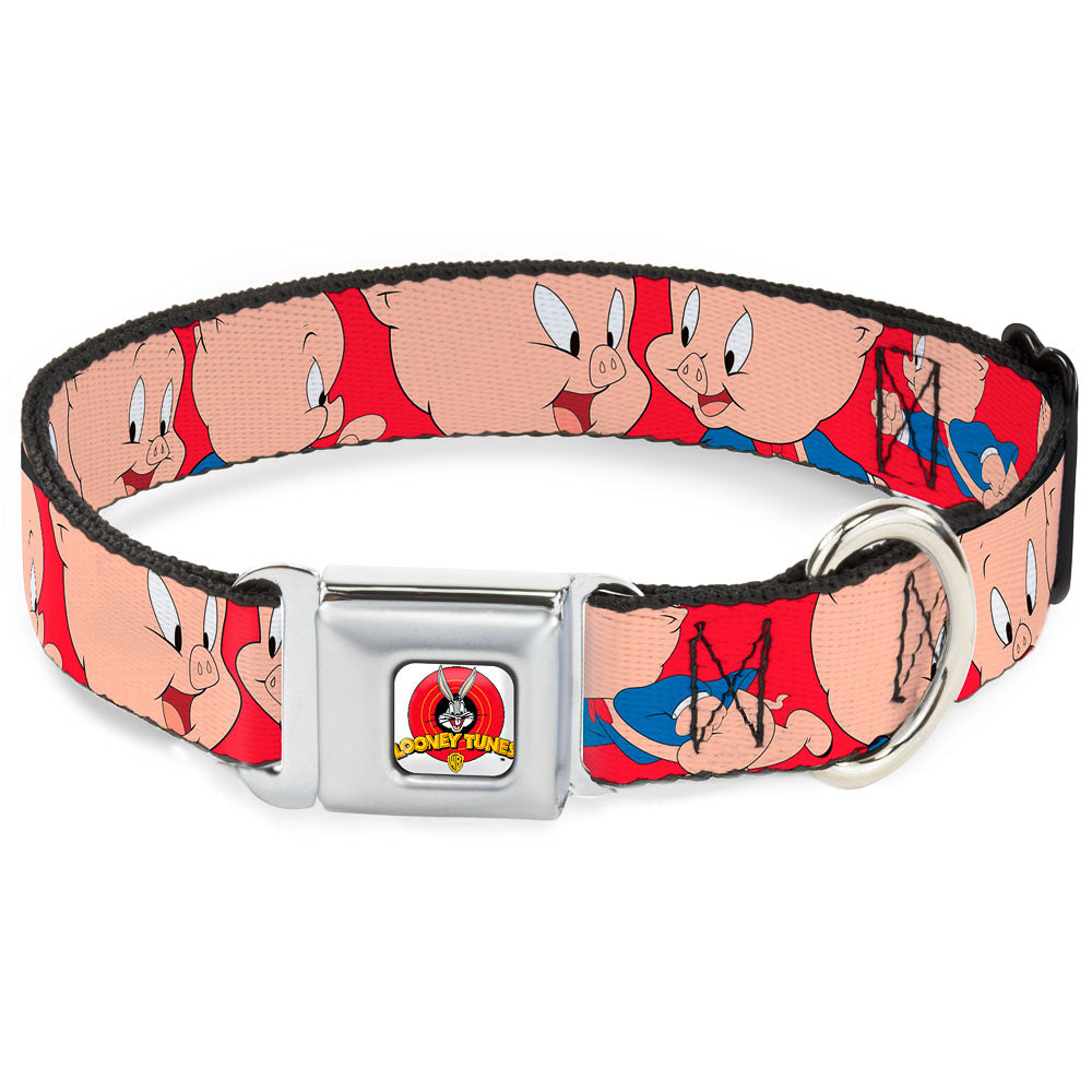 Looney Tunes Logo Full Color White Seatbelt Buckle Collar - Porky Pig Expressions Red Seatbelt Buckle Collars Looney Tunes