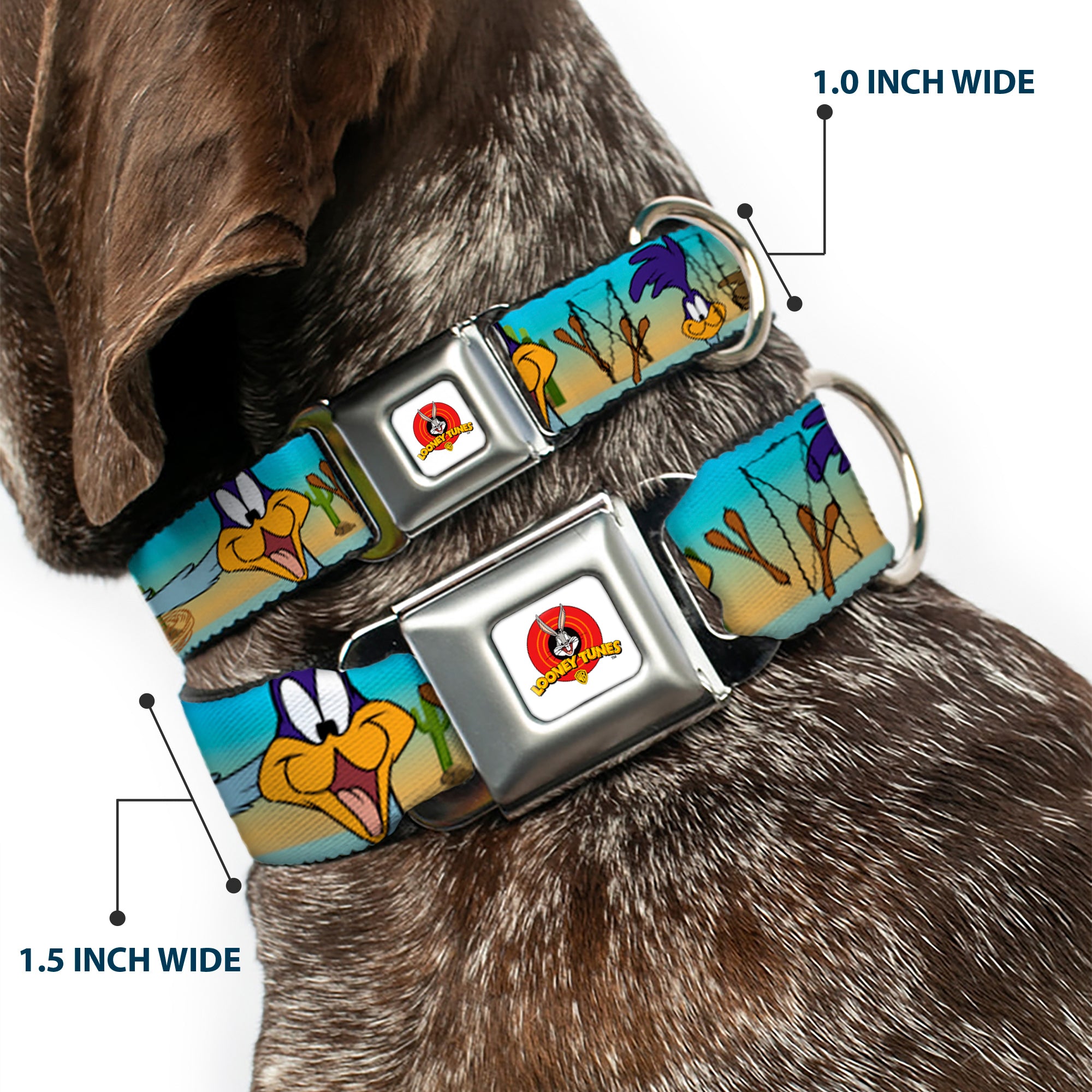 Looney Tunes Logo White Seatbelt Buckle Collar - Road Runner/Wile E. Coyote Scene1 Brown Fade Seatbelt Buckle Collars Looney Tunes