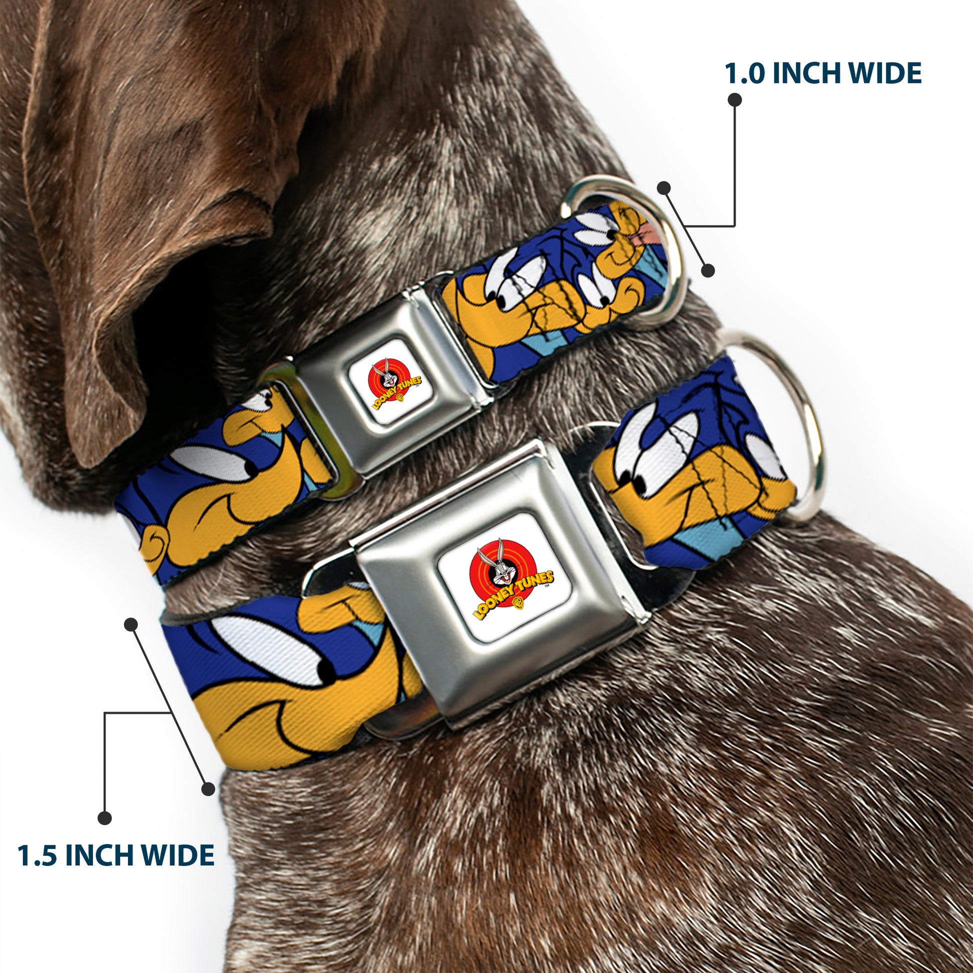 Looney Tunes Logo White Seatbelt Buckle Collar - Road Runner Expressions Stacked Seatbelt Buckle Collars Looney Tunes