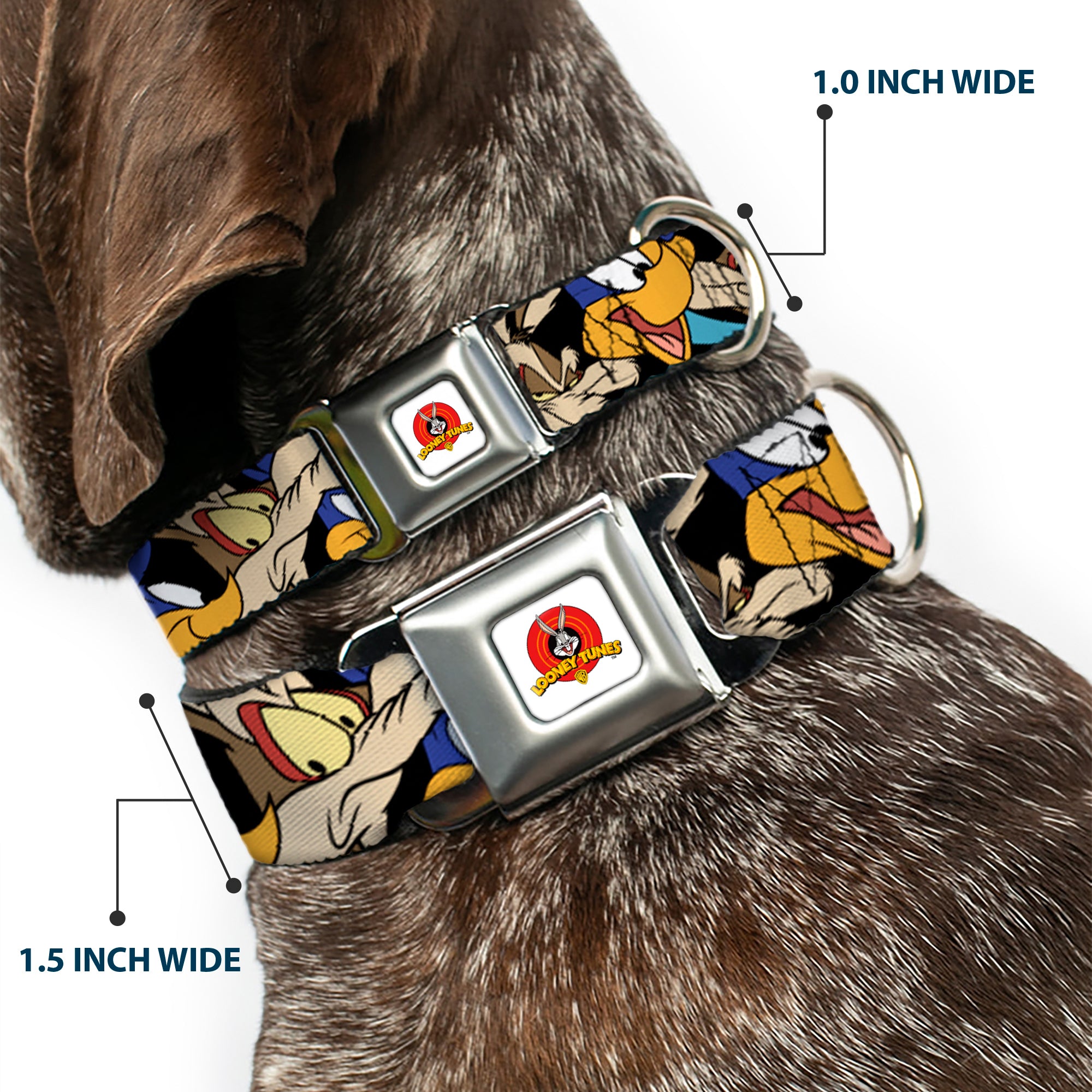 Looney Tunes Logo White Seatbelt Buckle Collar - Road Runner/Wile E. Coyote Expressions Stacked Black Seatbelt Buckle Collars Looney Tunes