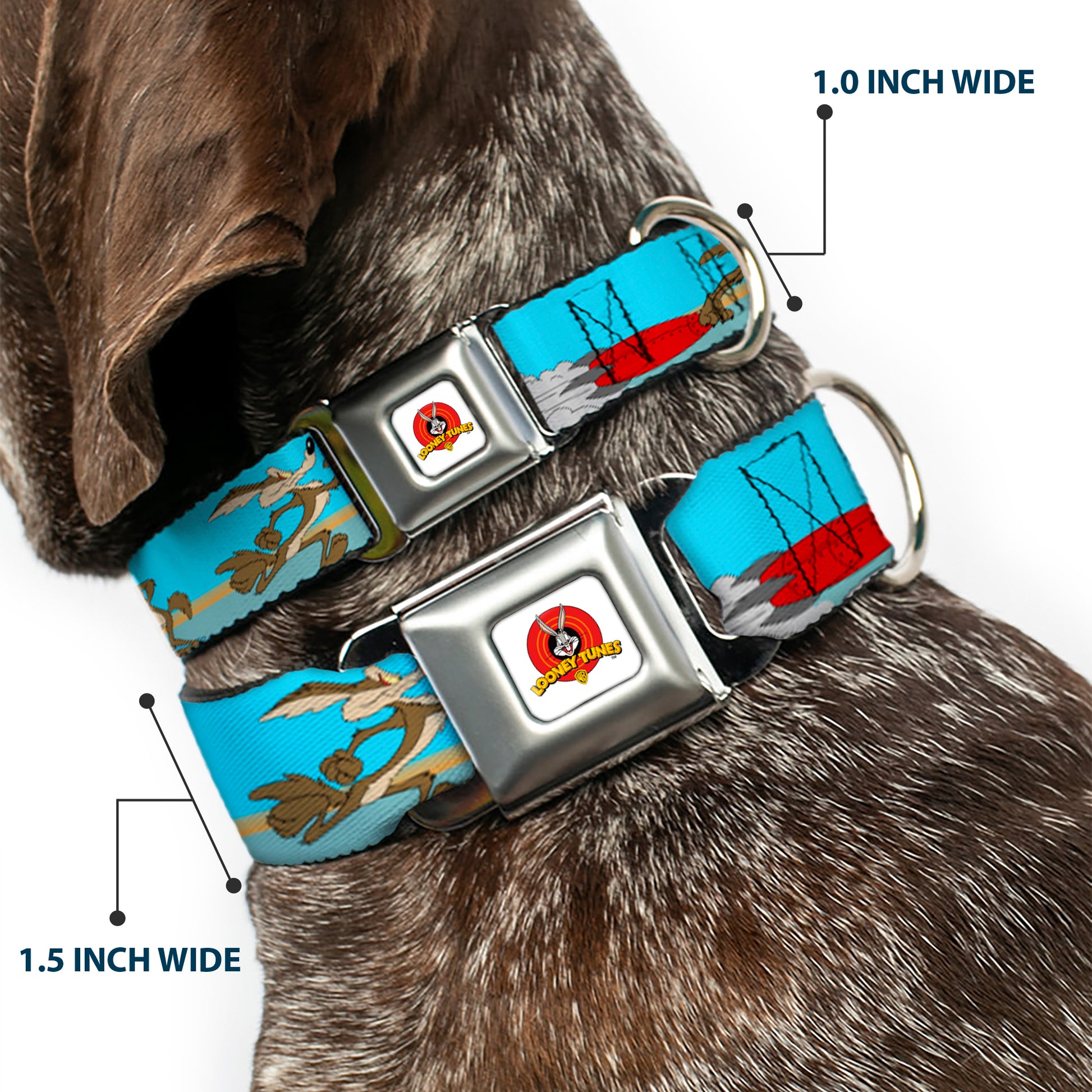 Looney Tunes Logo White Seatbelt Buckle Collar - Road Runner/Wile E. Coyote Scene2 Desert Seatbelt Buckle Collars Looney Tunes
