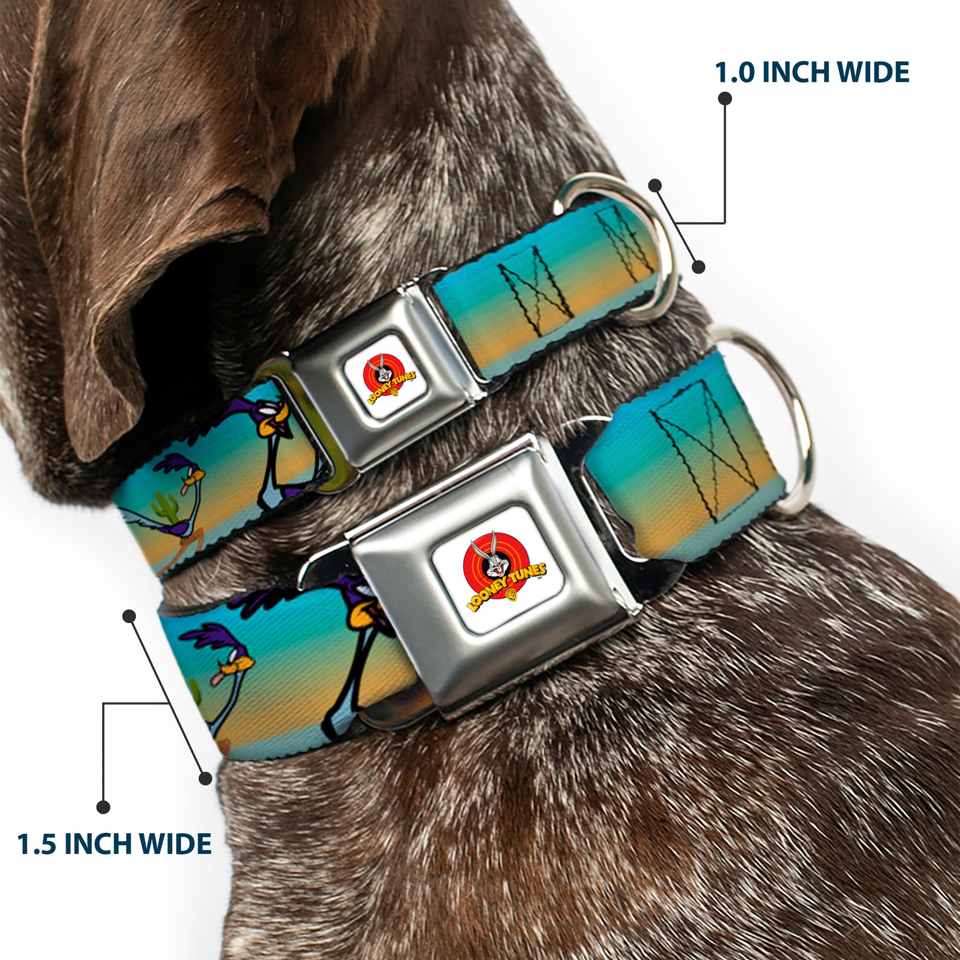 Looney Tunes Logo White Seatbelt Buckle Collar - Road Runner/Wile E. Coyote Scene1 Desert Seatbelt Buckle Collars Looney Tunes