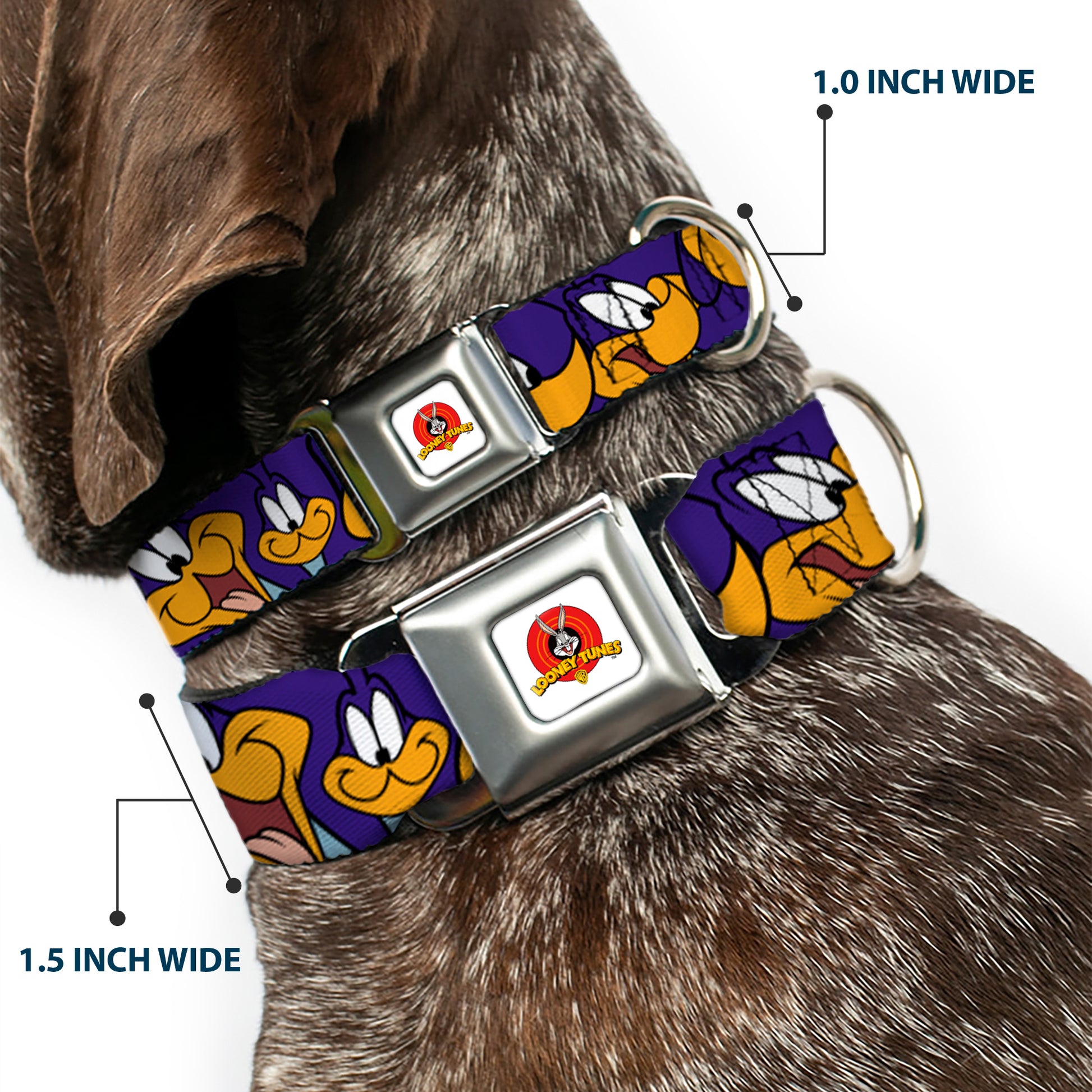 Looney Tunes Logo White Seatbelt Buckle Collar - Road Runner Expressions Royal Seatbelt Buckle Collars Looney Tunes