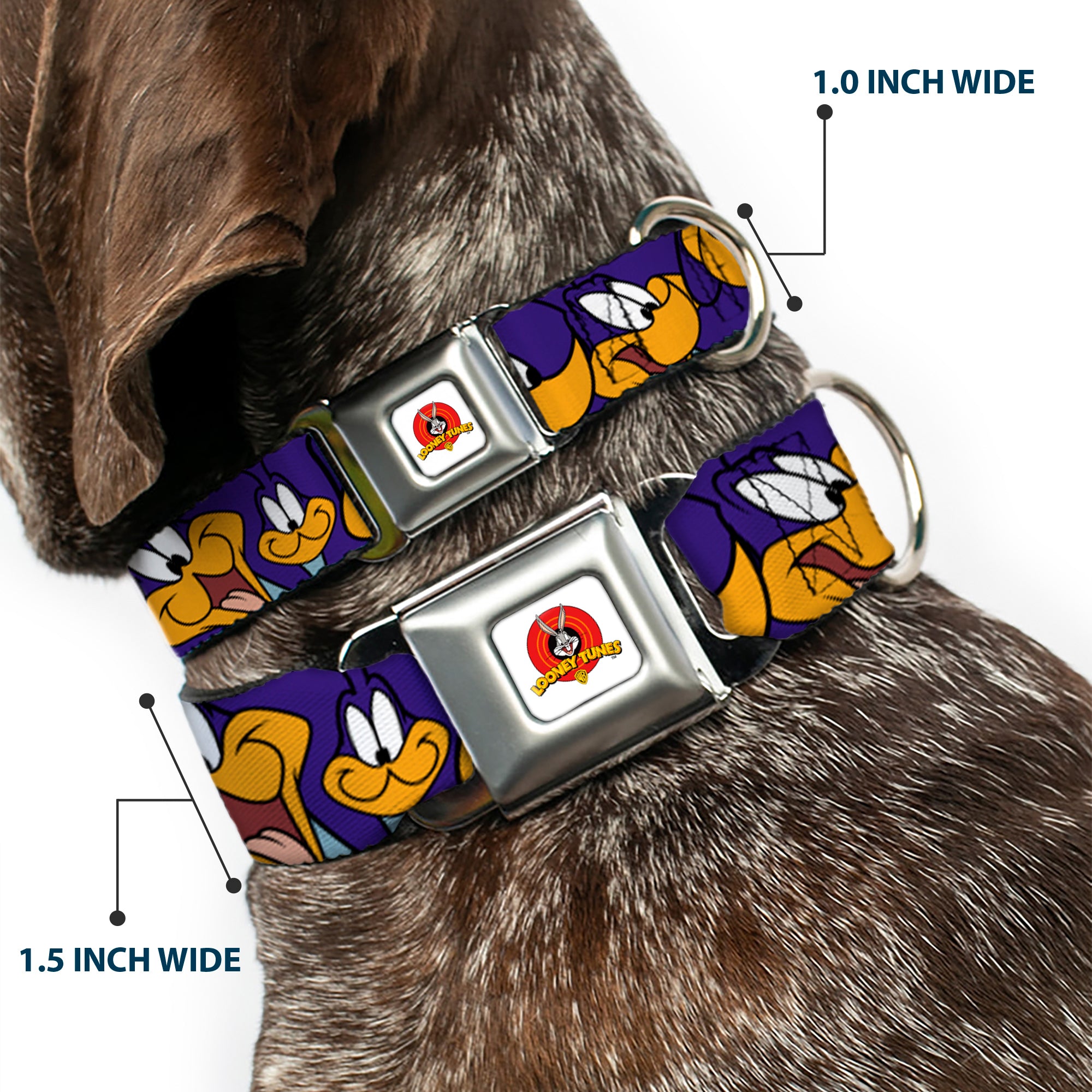 Looney Tunes Logo White Seatbelt Buckle Collar - Road Runner Expressions Royal Seatbelt Buckle Collars Looney Tunes