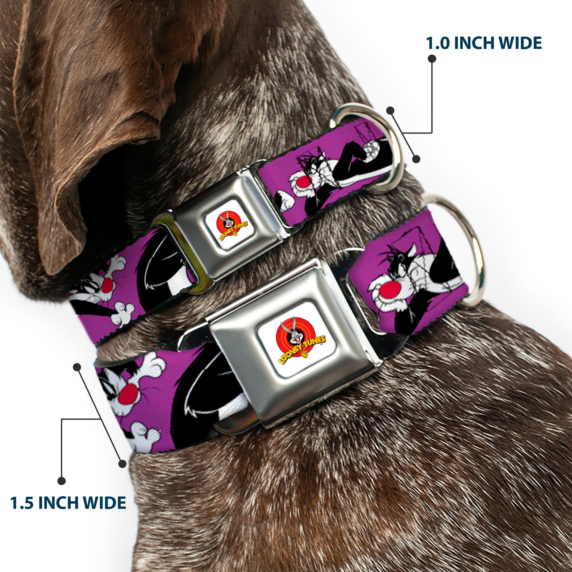 Looney Tunes Logo Full Color White Seatbelt Buckle Collar - Sylvester the Cat Poses Purple Seatbelt Buckle Collars Looney Tunes