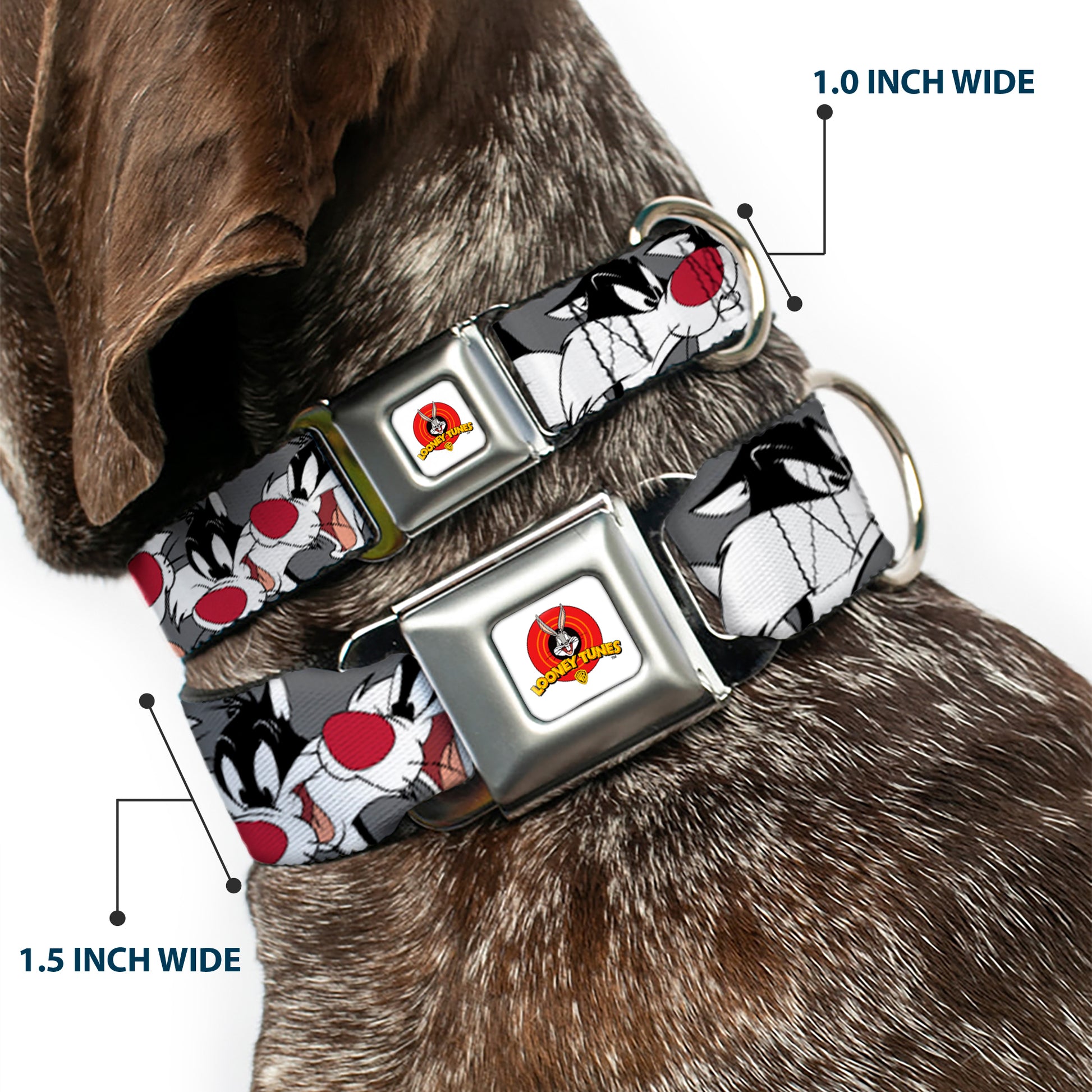 Looney Tunes Logo Full Color White Seatbelt Buckle Collar - Sylvester the Cat Expressions Gray Seatbelt Buckle Collars Looney Tunes