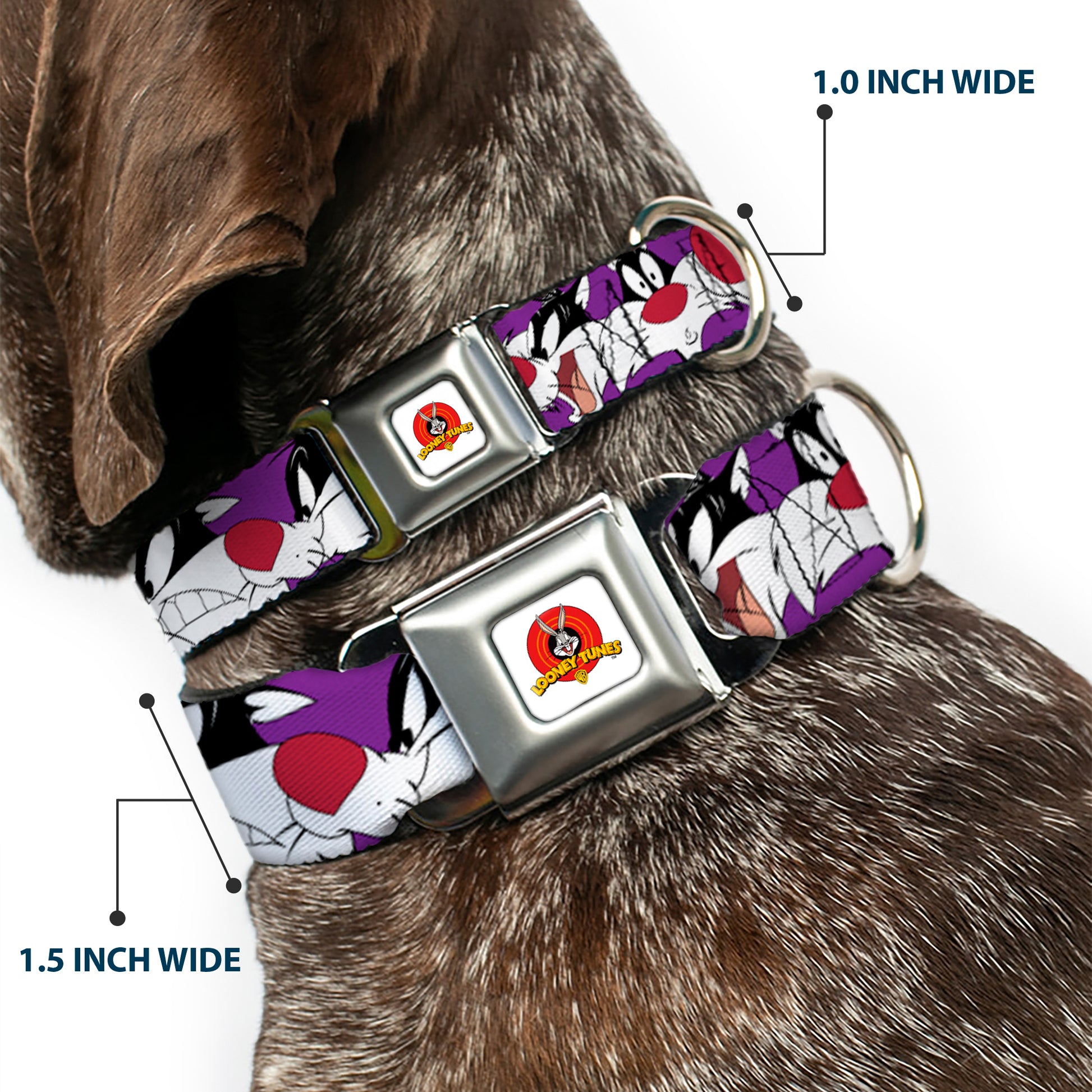 Looney Tunes Logo Full Color White Seatbelt Buckle Collar - Sylvester the Cat Expressions Purple Seatbelt Buckle Collars Looney Tunes