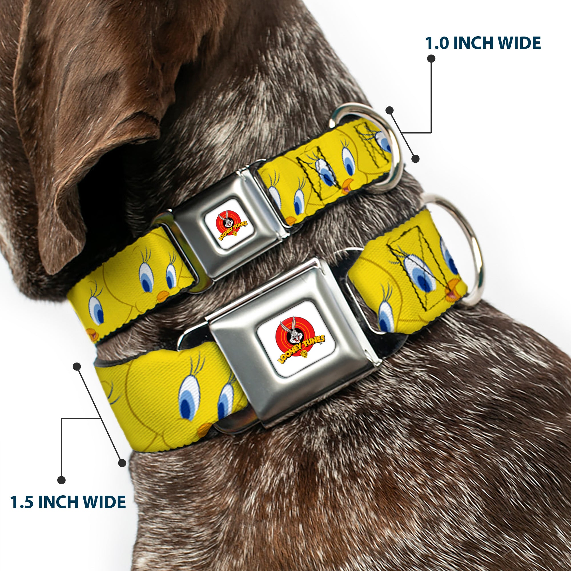 Looney Tunes Logo Full Color White Seatbelt Buckle Collar - Tweety Bird Expressions Yellow Seatbelt Buckle Collars Looney Tunes