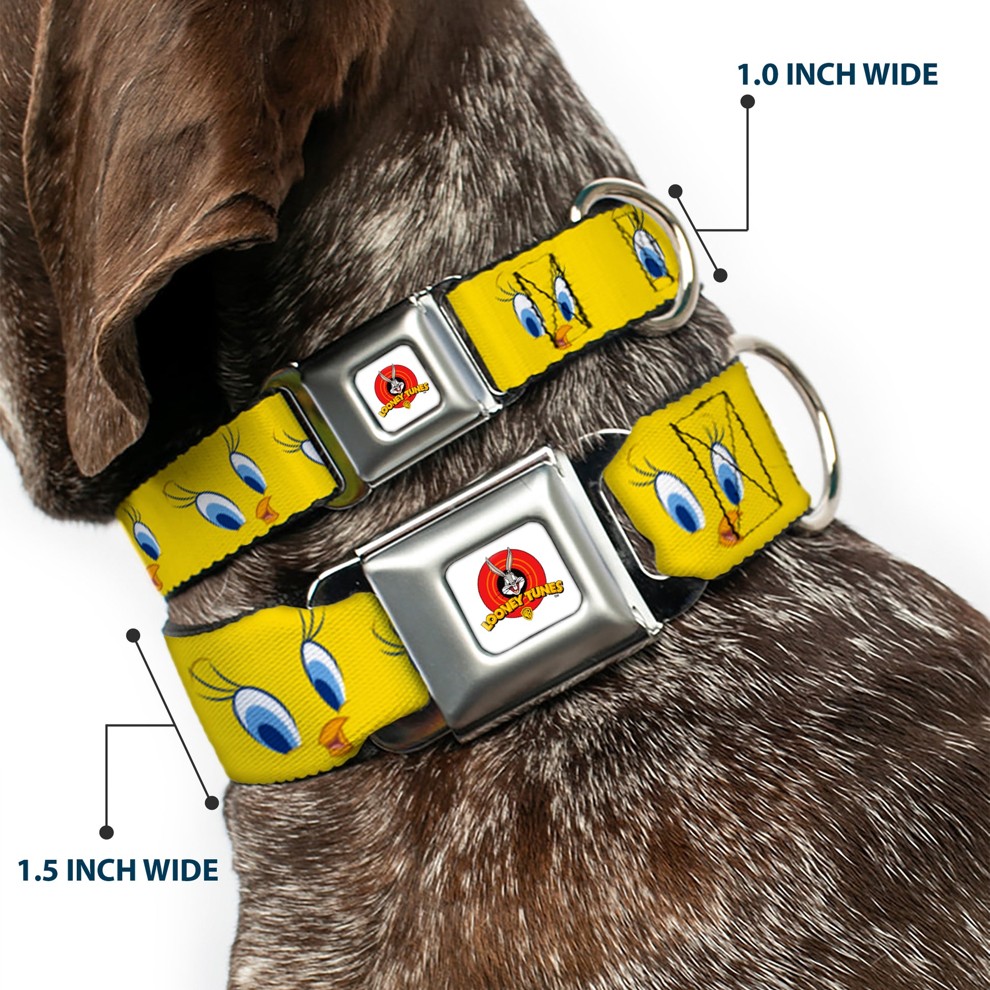 Looney Tunes Logo Full Color White Seatbelt Buckle Collar - Tweety Bird Expressions2 Seatbelt Buckle Collars Looney Tunes