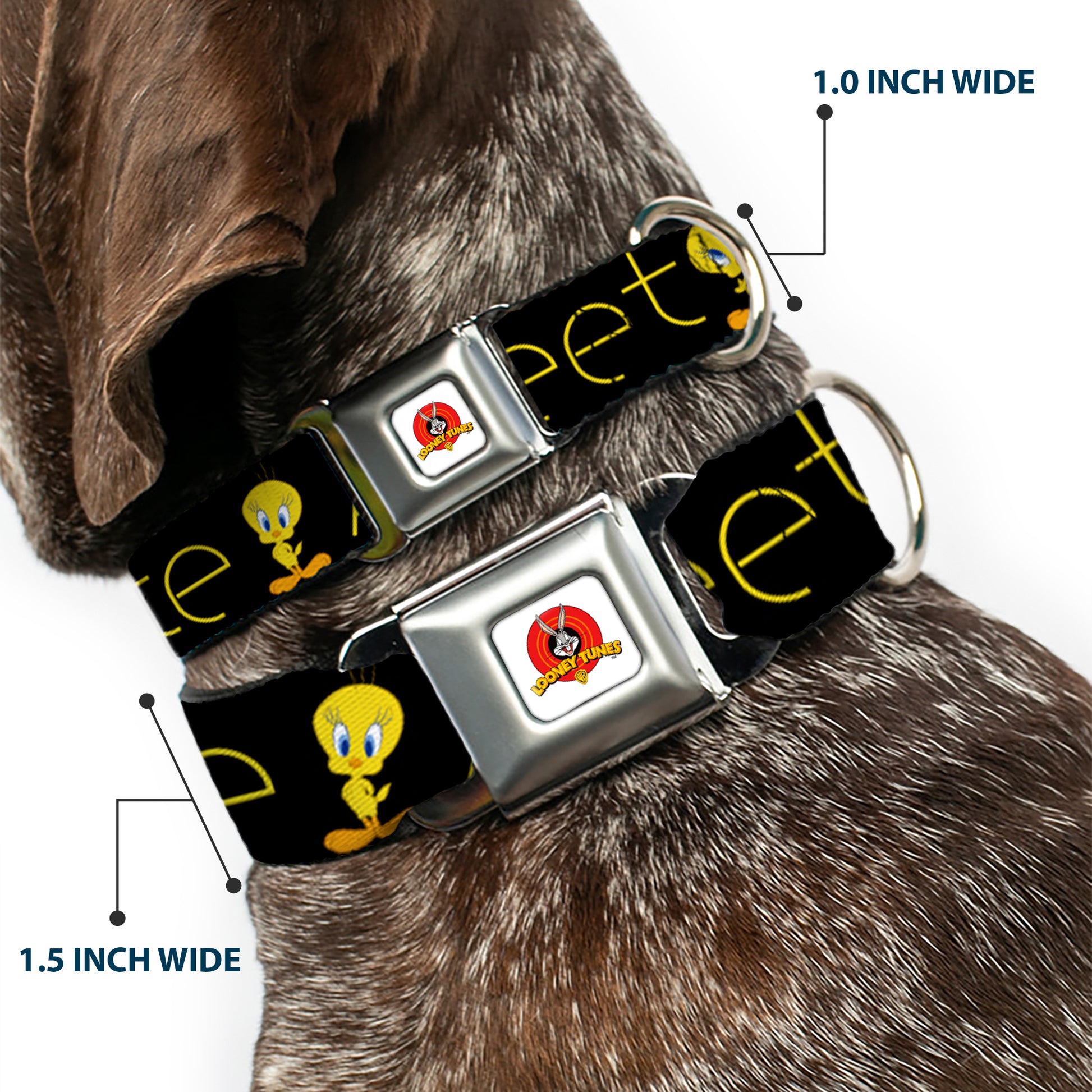 Looney Tunes Logo Full Color White Seatbelt Buckle Collar - Tweety Bird Poses CUTE AND SWEET Black/Yellow Seatbelt Buckle Collars Looney Tunes