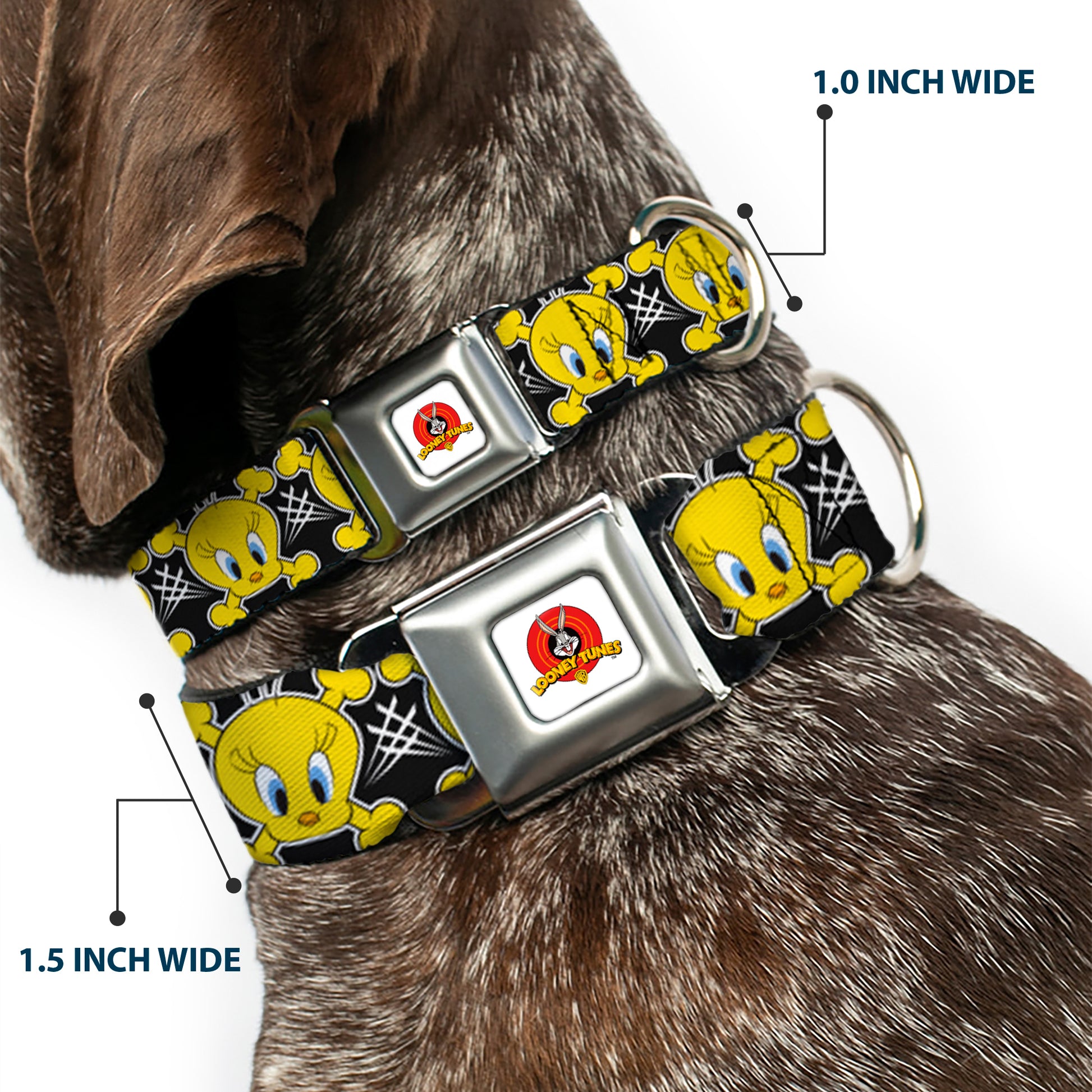 Looney Tunes Logo Full Color White Seatbelt Buckle Collar - Tweety Bird & Crossbones Black/White/Yellow Seatbelt Buckle Collars Looney Tunes