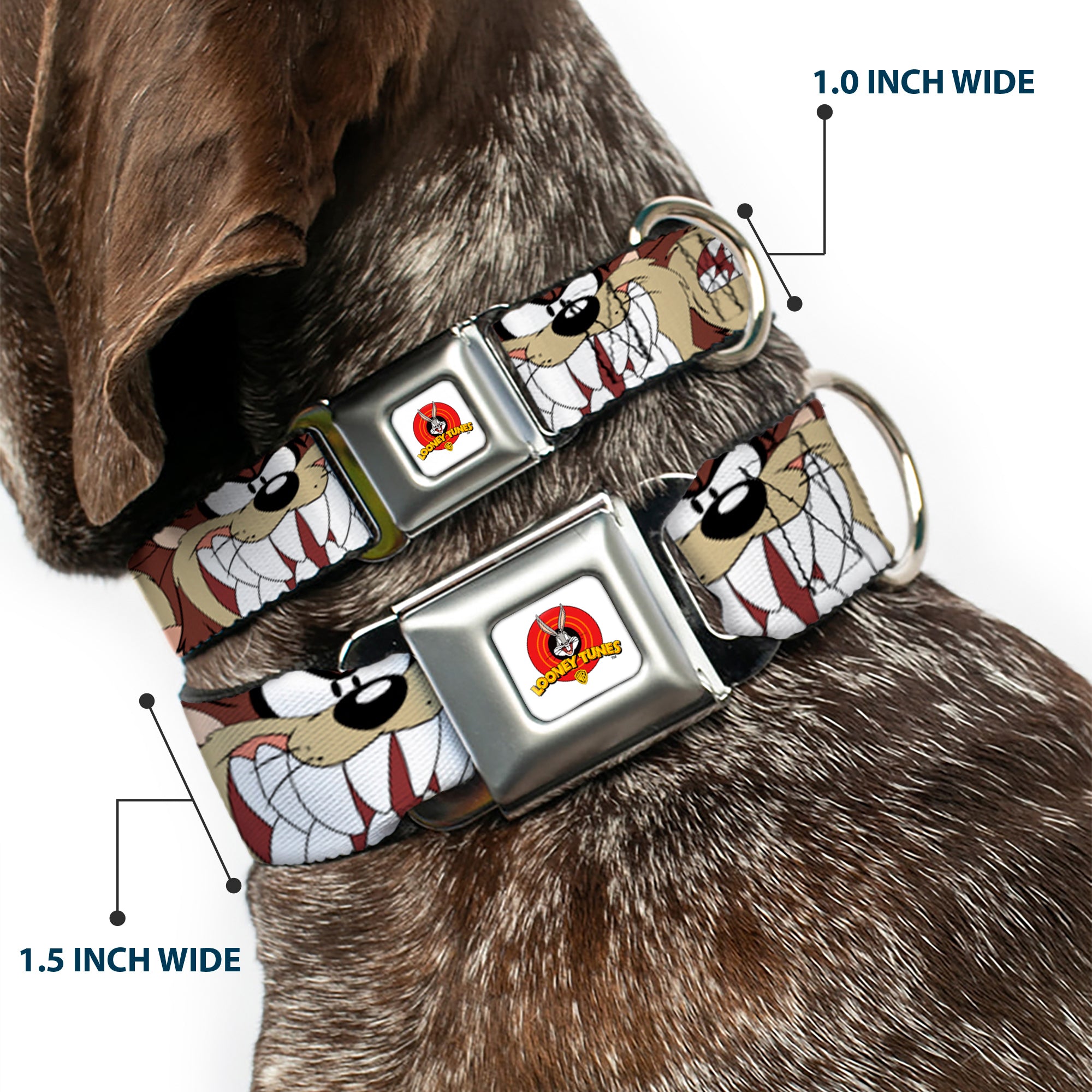 Looney Tunes Logo Full Color White Seatbelt Buckle Collar - Tasmanian Devil Expressions Brown Seatbelt Buckle Collars Looney Tunes