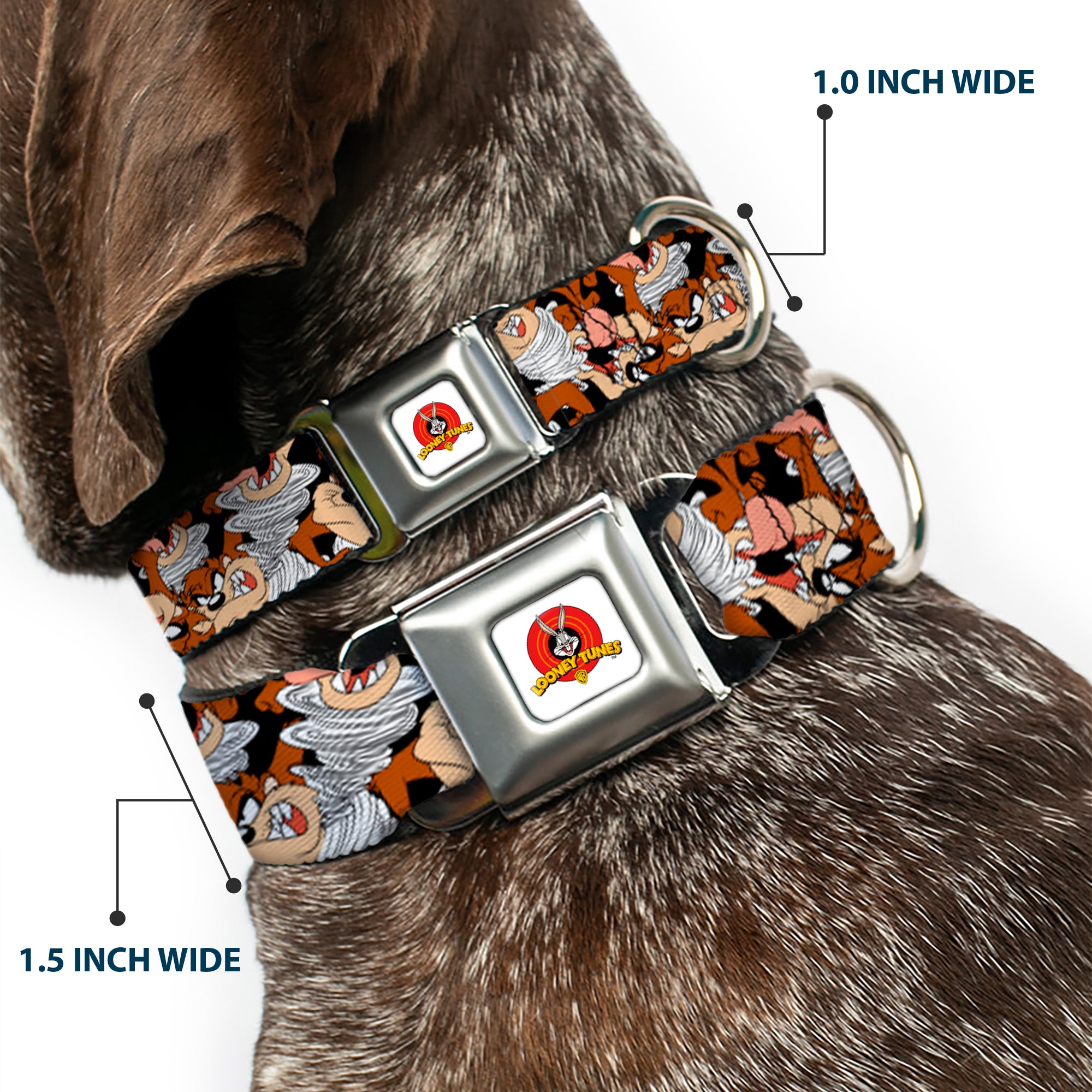 Looney Tunes Logo White Seatbelt Buckle Collar - Tasmanian Devil Vortex Poses Stacked Black Seatbelt Buckle Collars Looney Tunes