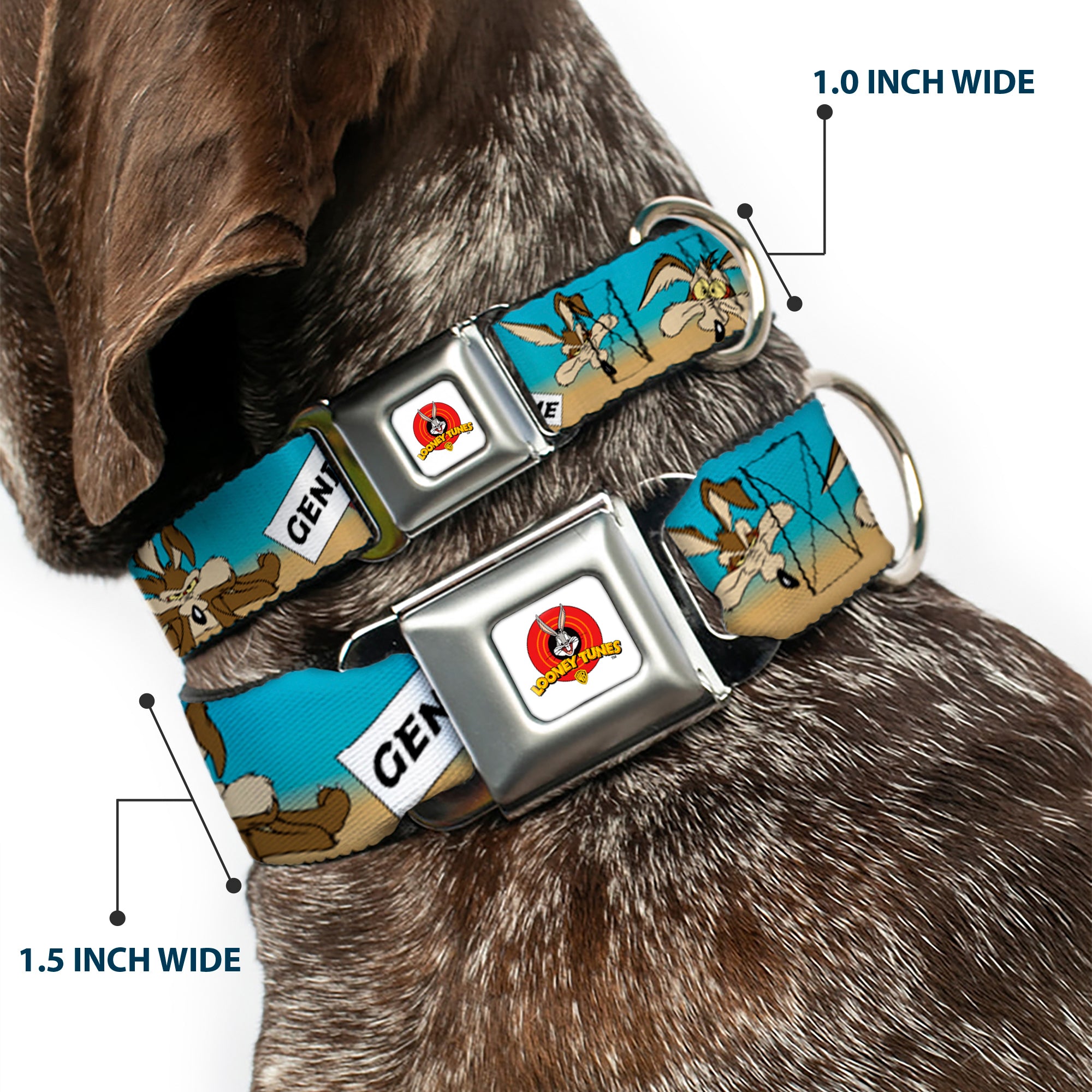 Looney Tunes Logo Full Color White Seatbelt Buckle Collar - WILE E. COYOTE Expressions/Signs Desert Seatbelt Buckle Collars Looney Tunes
