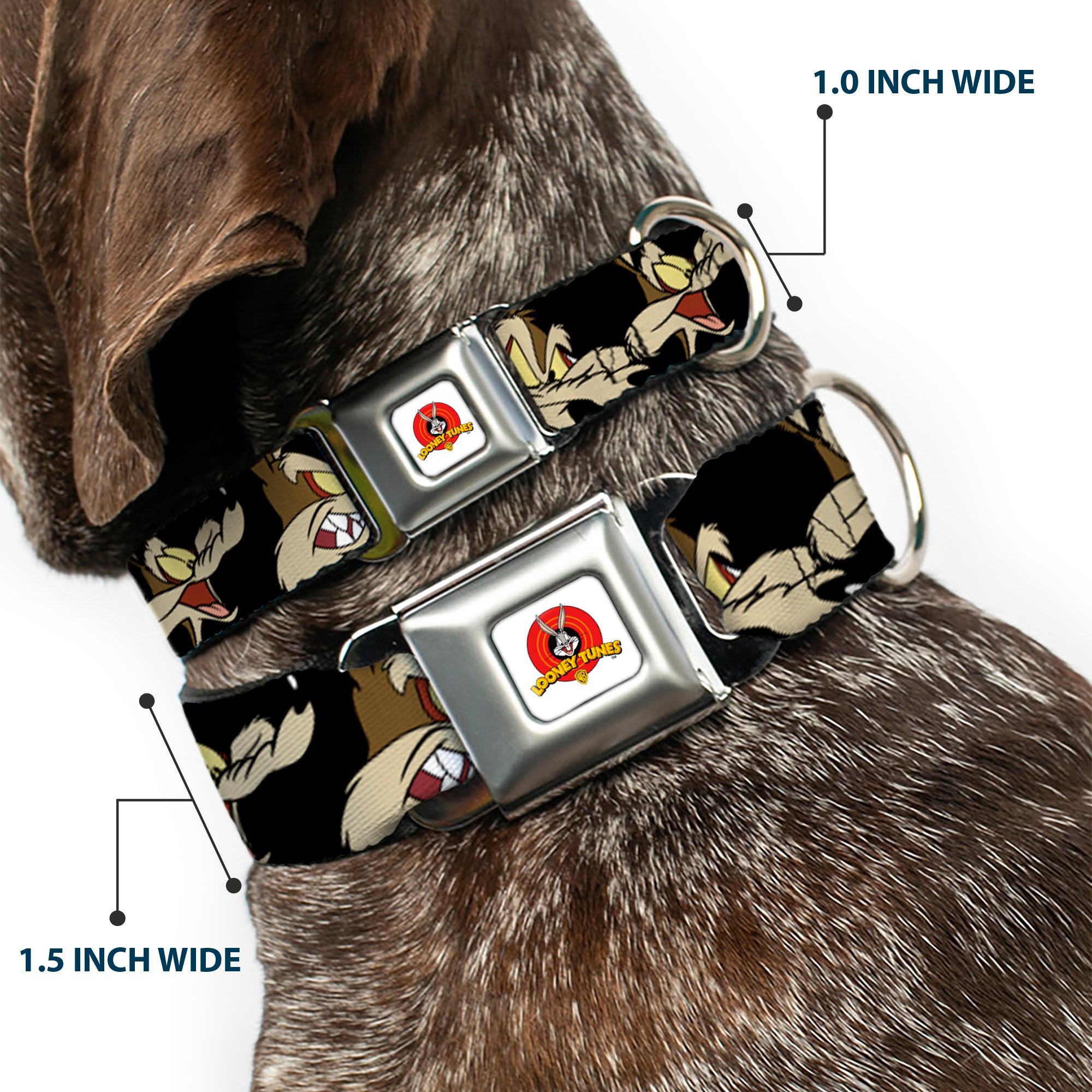 Looney Tunes Logo Full Color White Seatbelt Buckle Collar - Wile E. Coyote Expressions Black Seatbelt Buckle Collars Looney Tunes